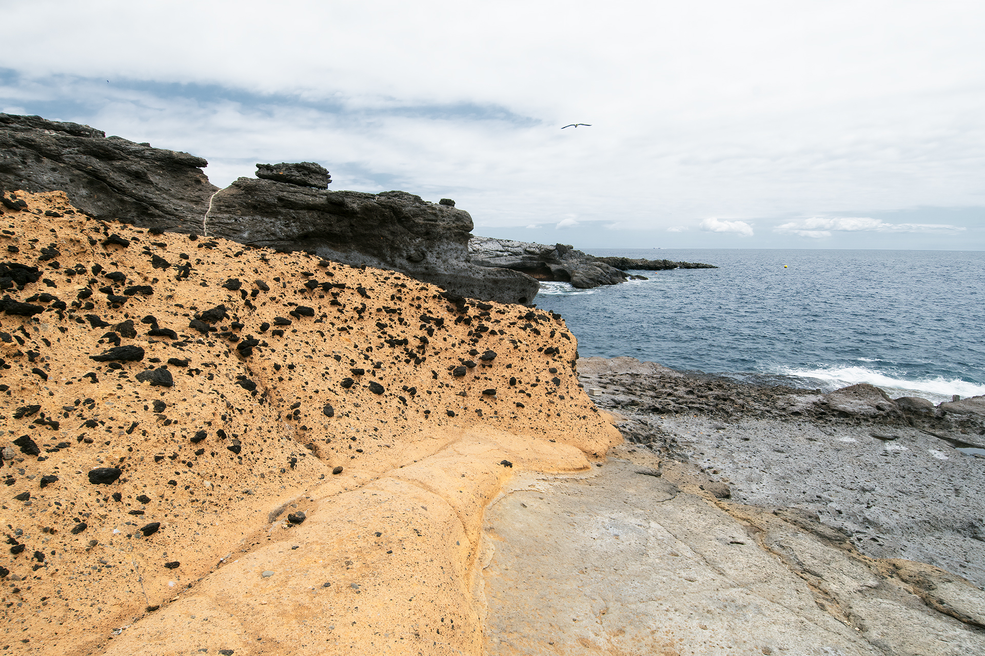 The Wild Side of Tenerife