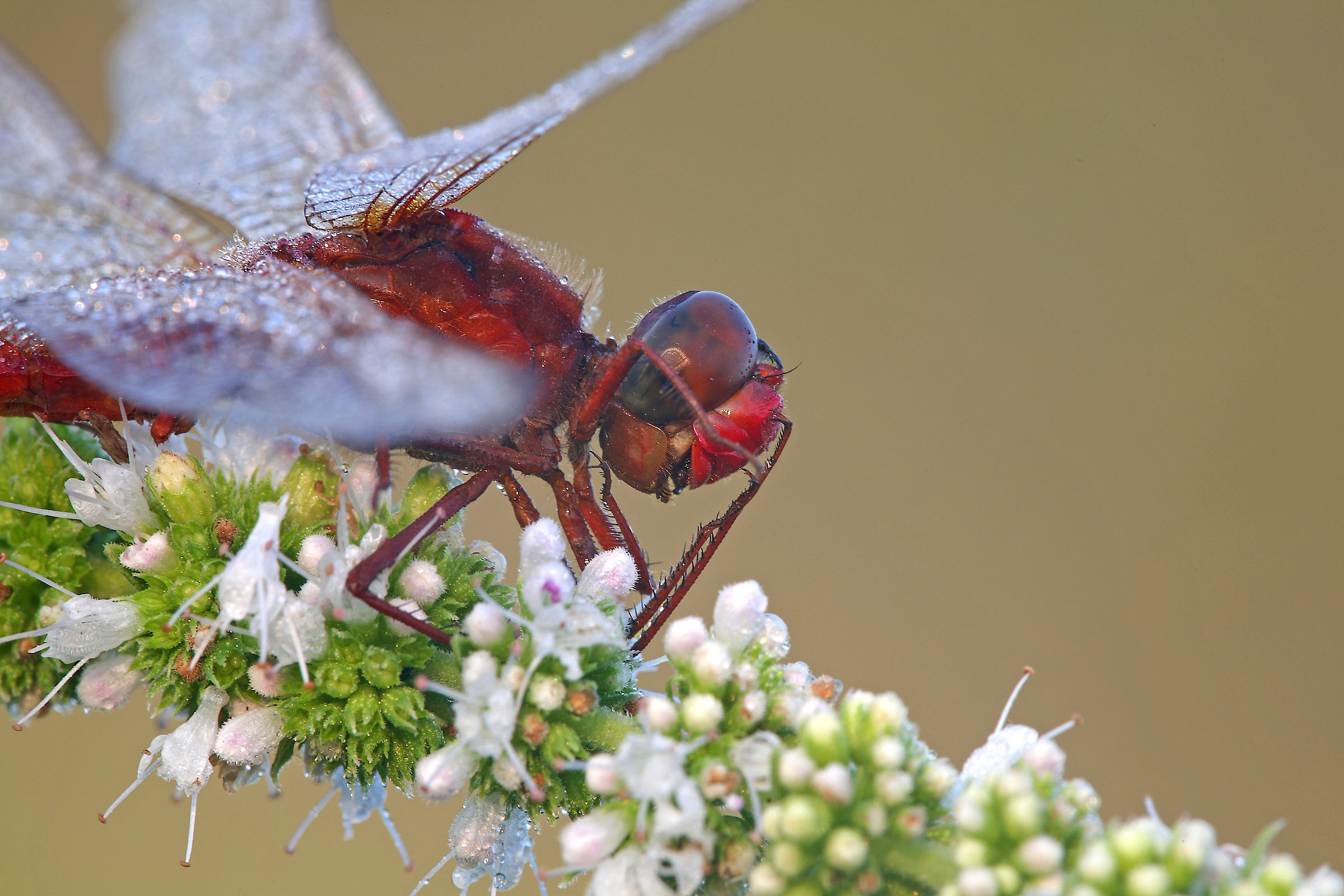 Dopo....Avermi Guardato !