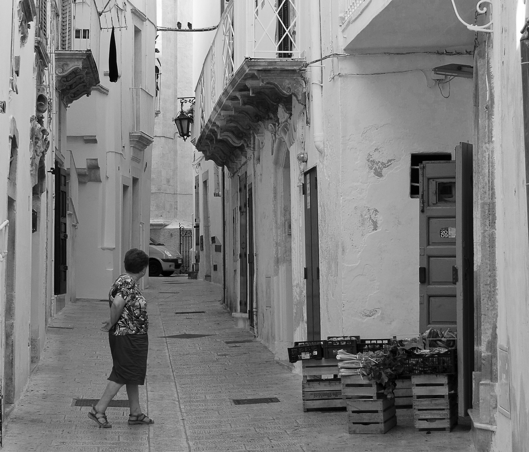 martina frank taranto