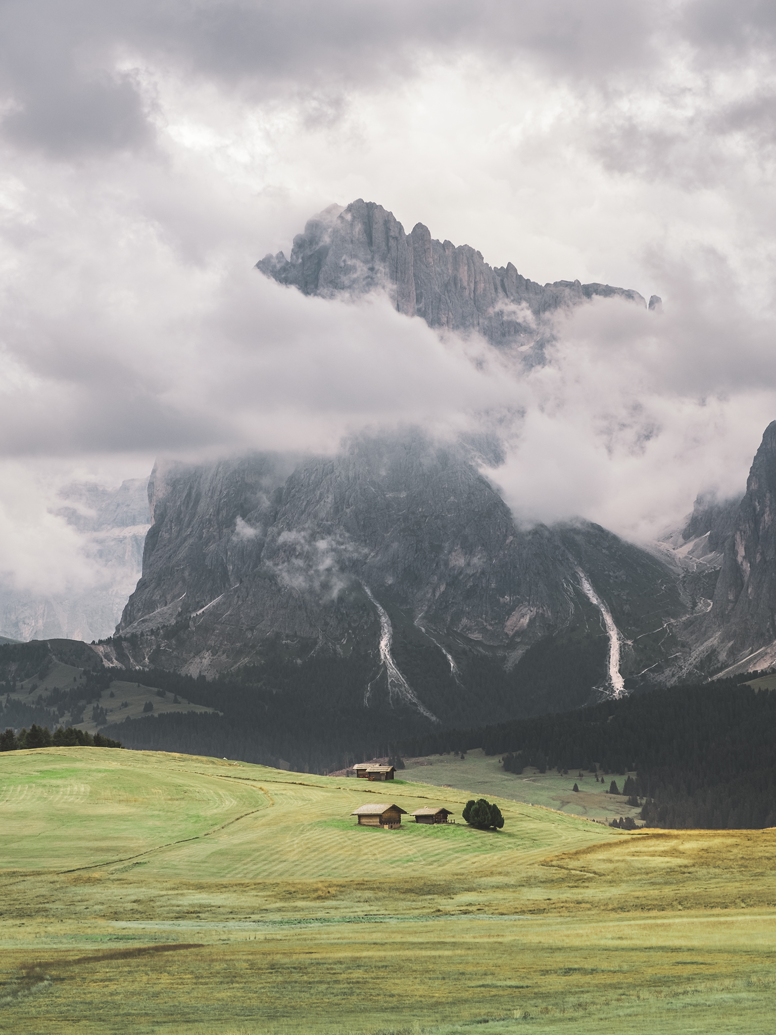 Alpe di Siusi, Italy - 1700 m.l.m. - 21 August 2019