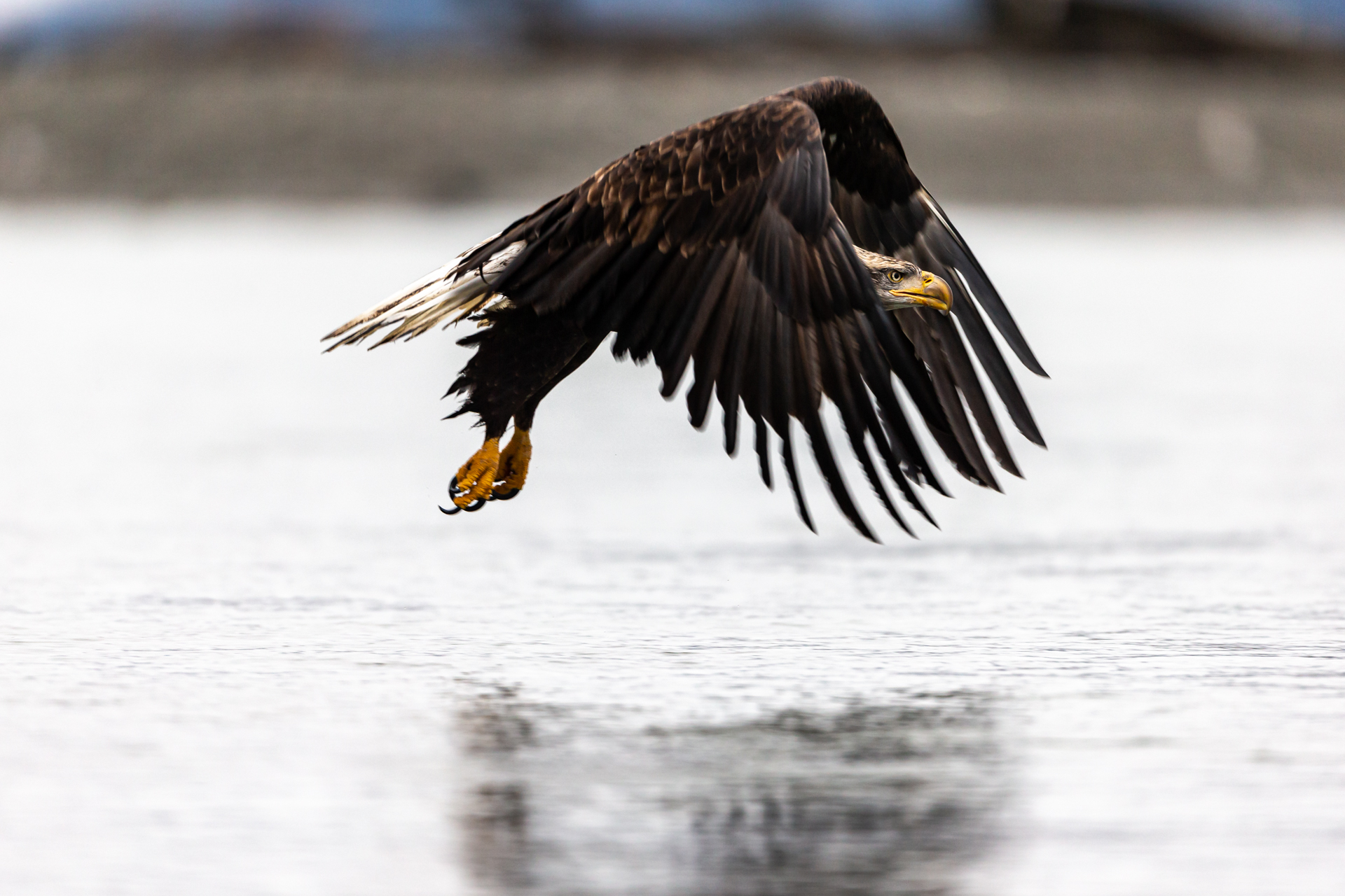 Flying in the mirror