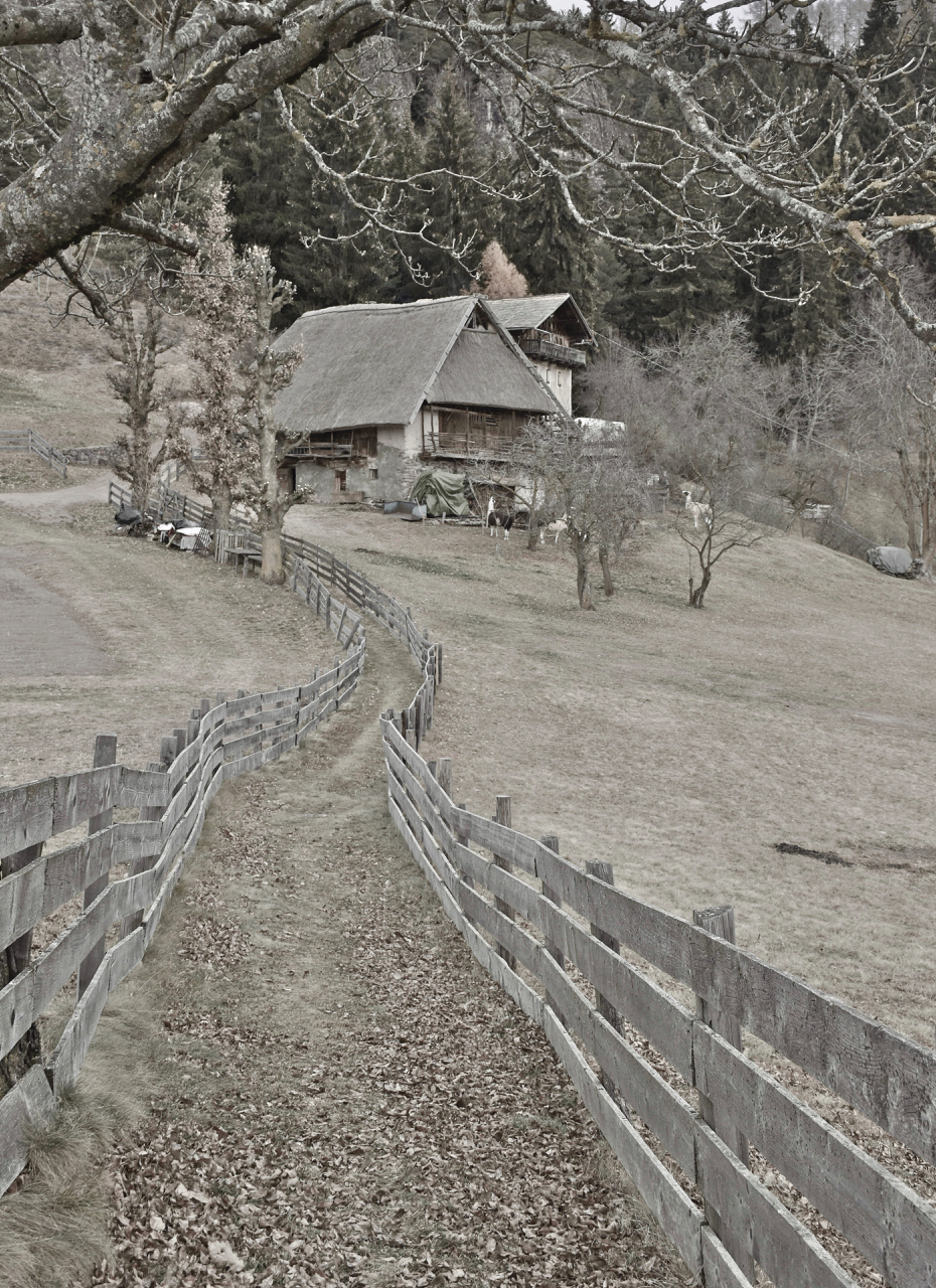 Verano (bz) Fienile storico coperto con paglia 2