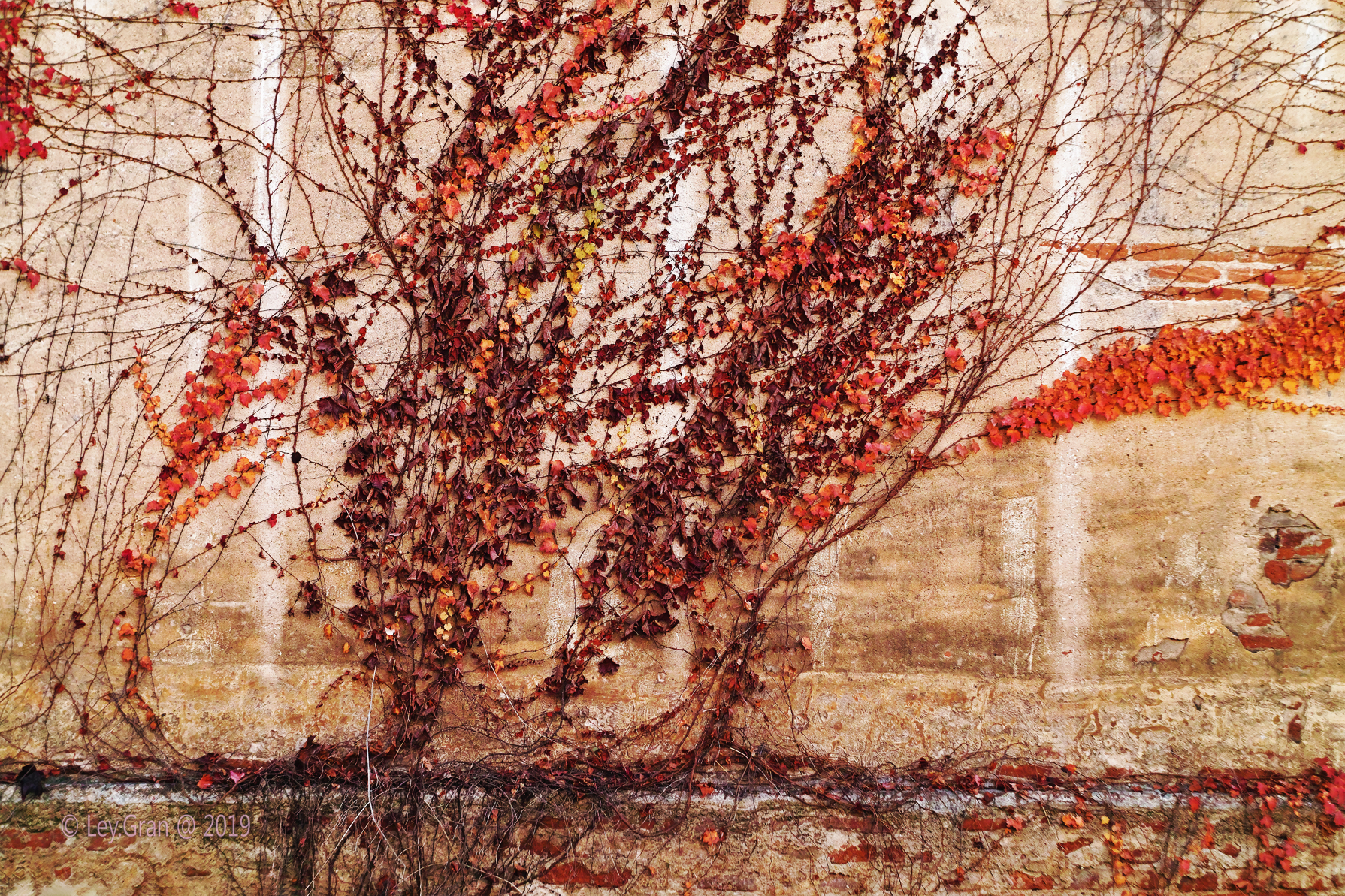 Brick wine-colored display wall behind the church