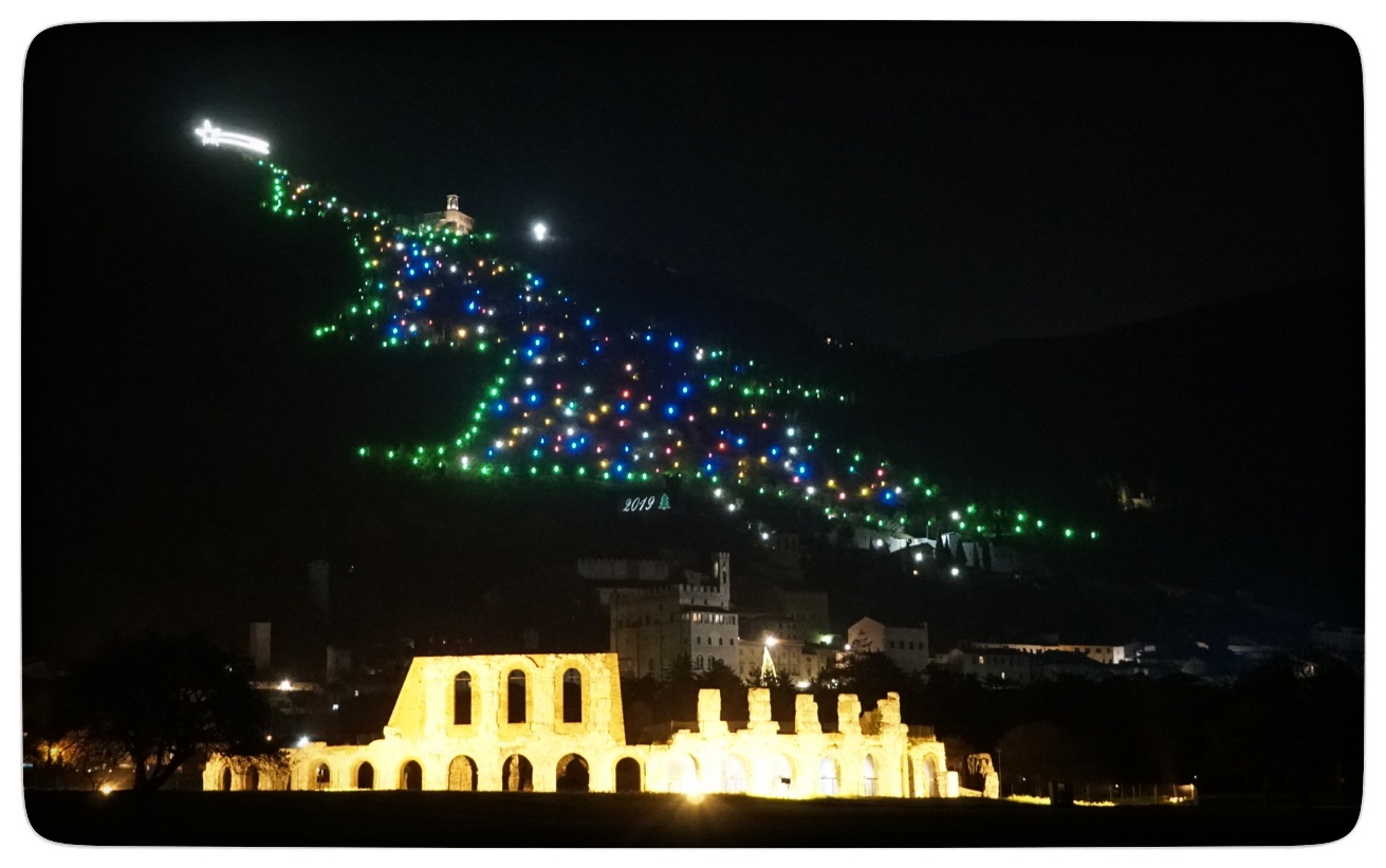 Gubbio Tree