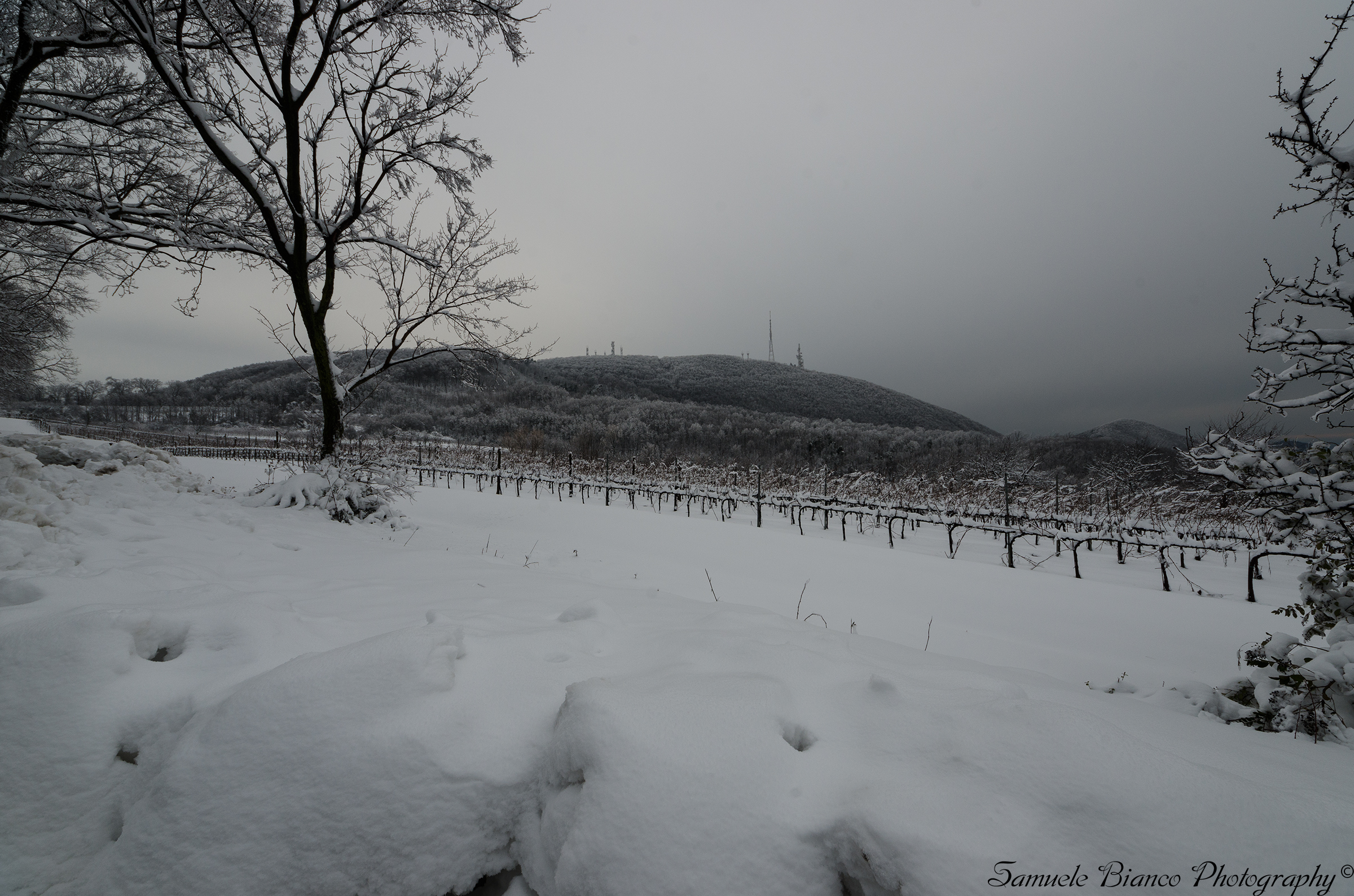Snowfall on the Venda