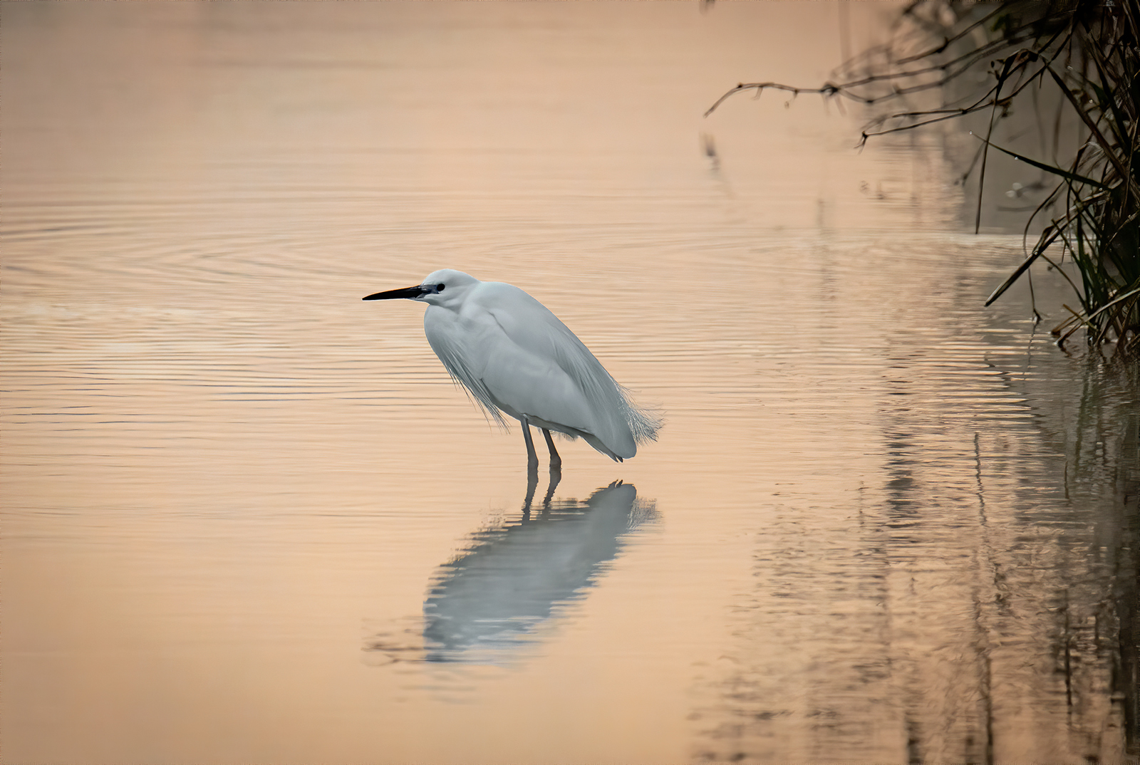 Prime luci mattutine