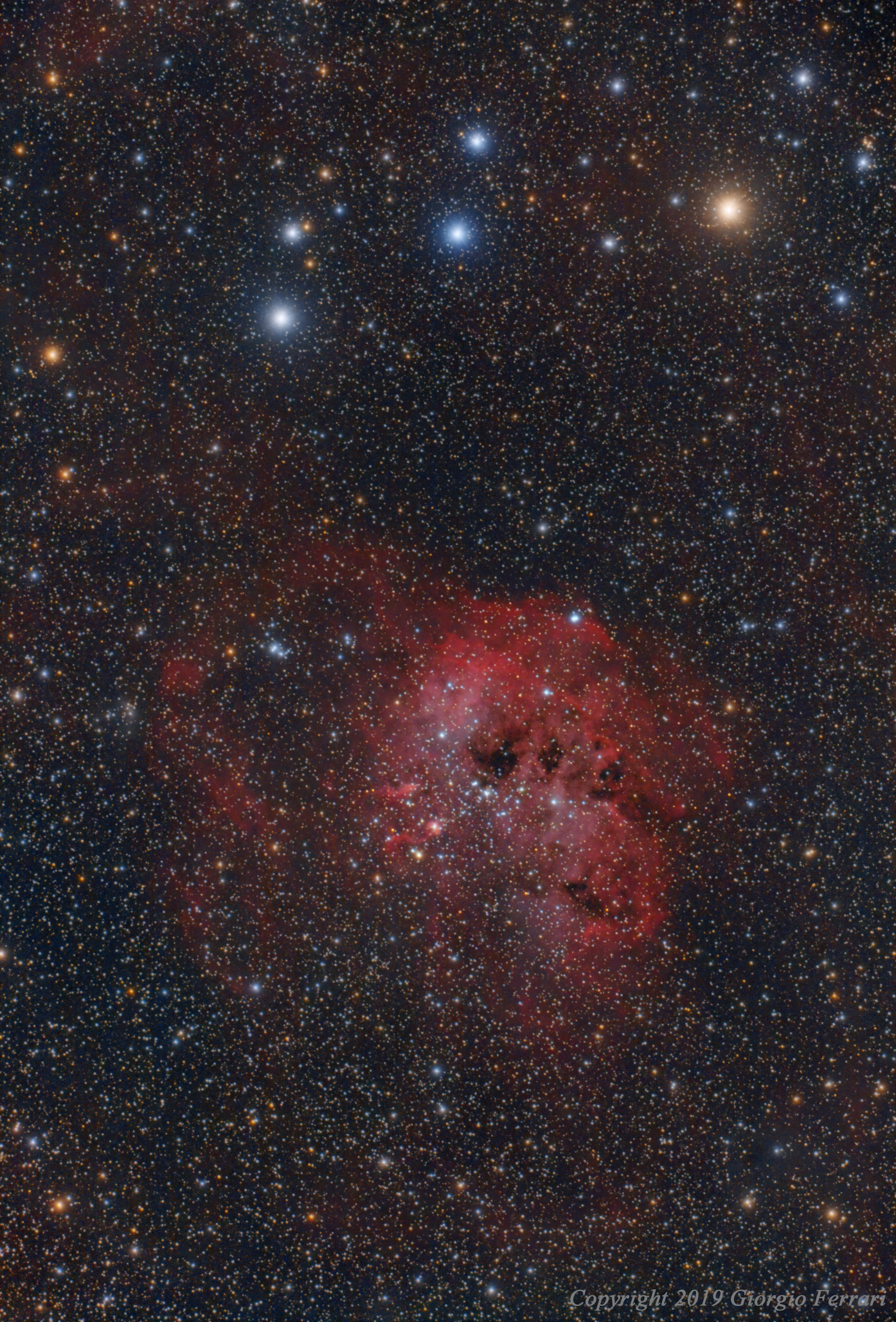 IC 410 (Nebulosa dei Girini)