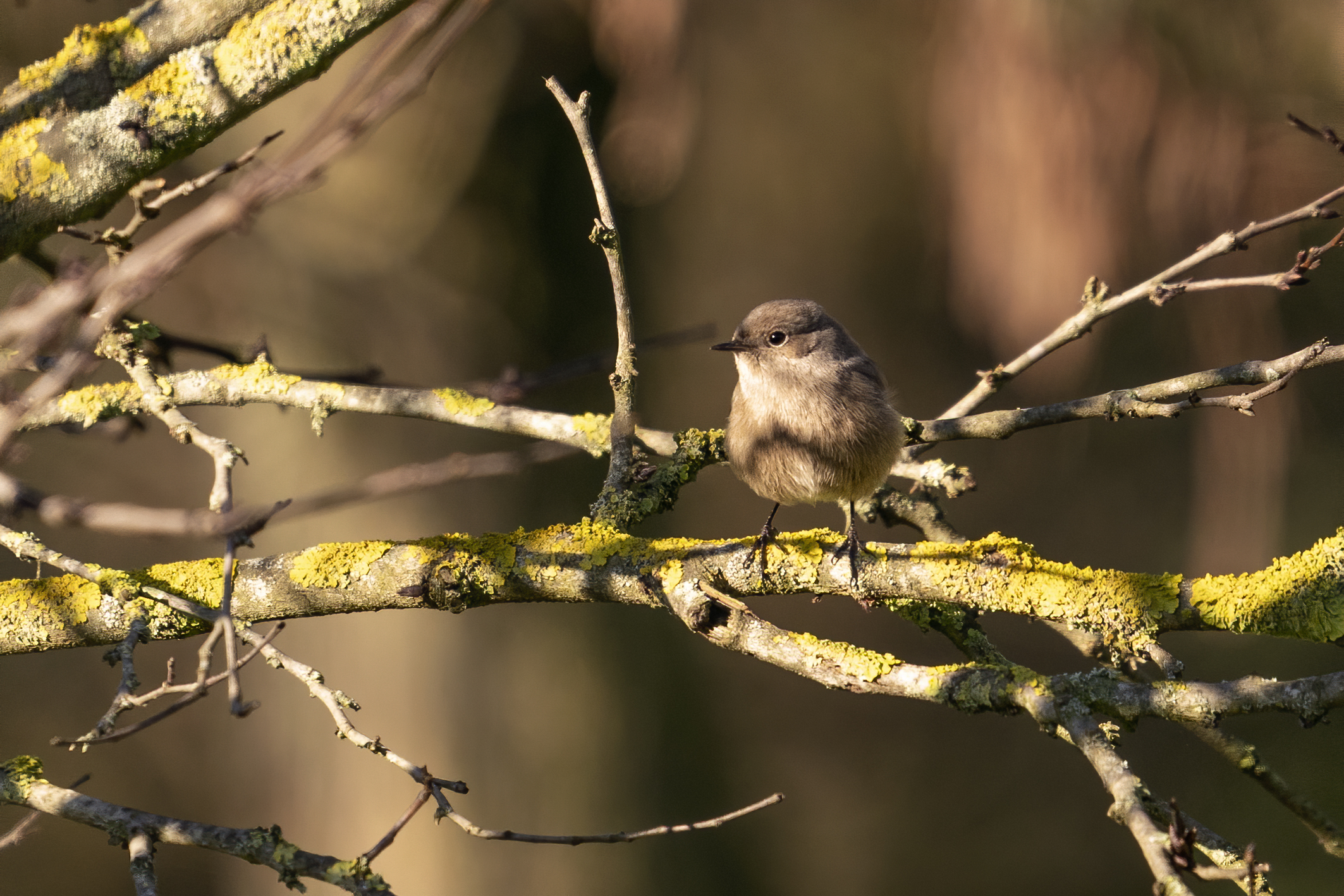Roma Montesacro Talenti Park