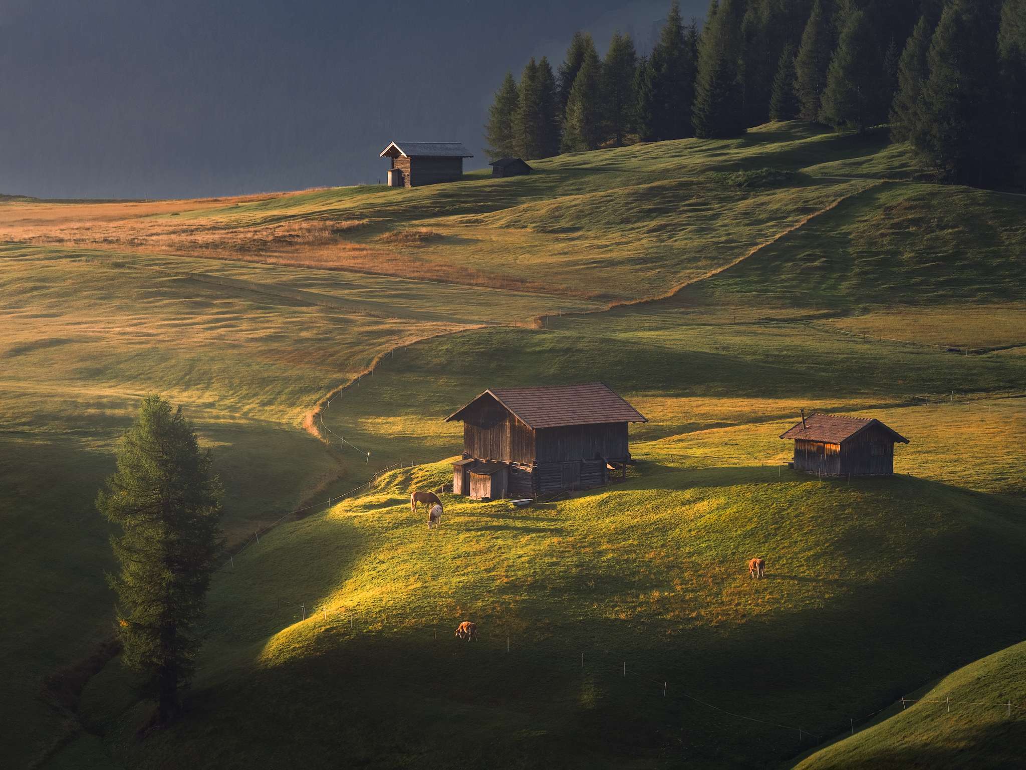 The Shire (pt.2) - Dolomites Natural Park