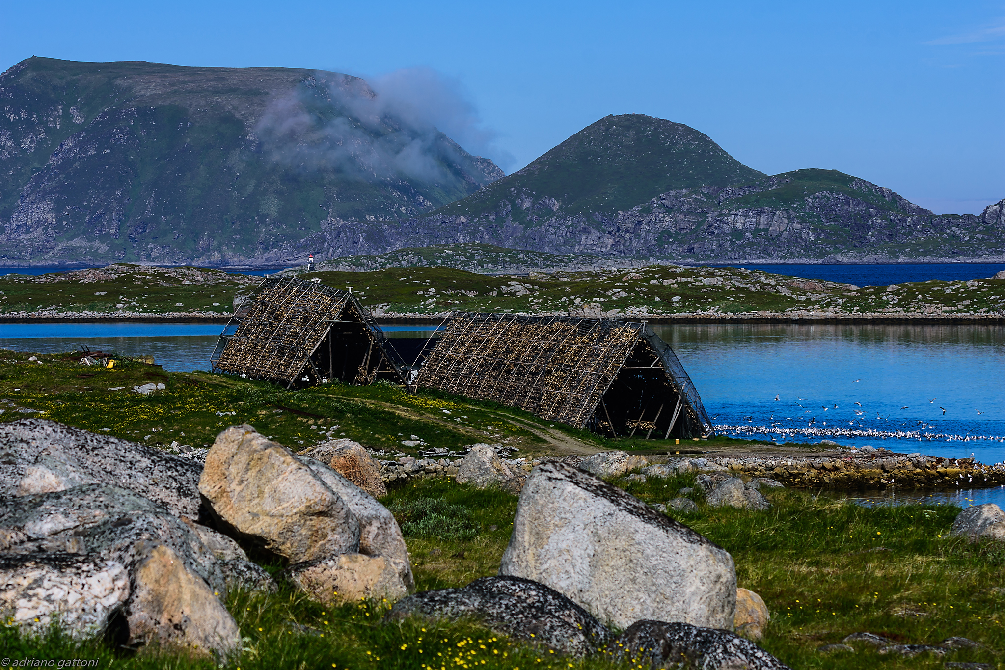 Cod dryers on the island of Nordkapp