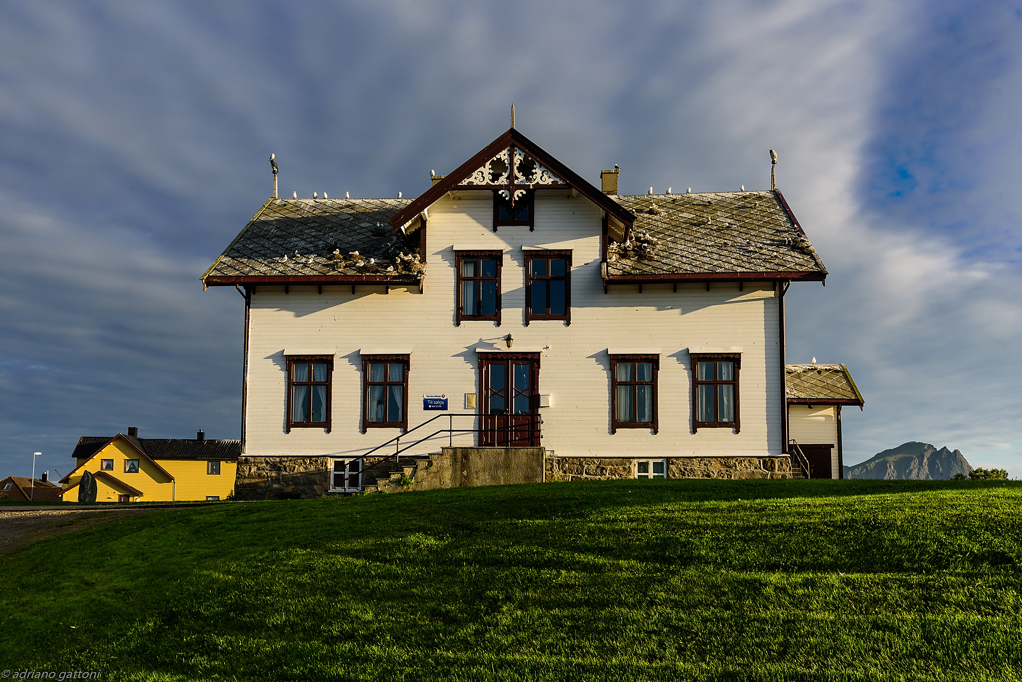 Seagull House near Anderness