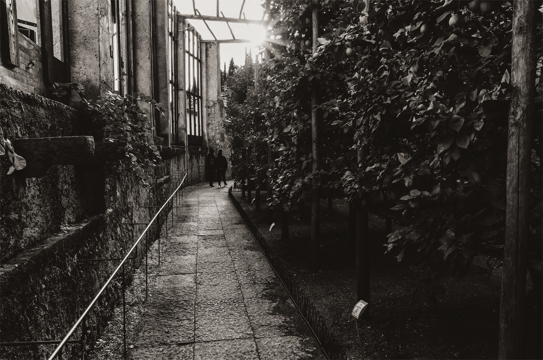 Limonaia del Castèl