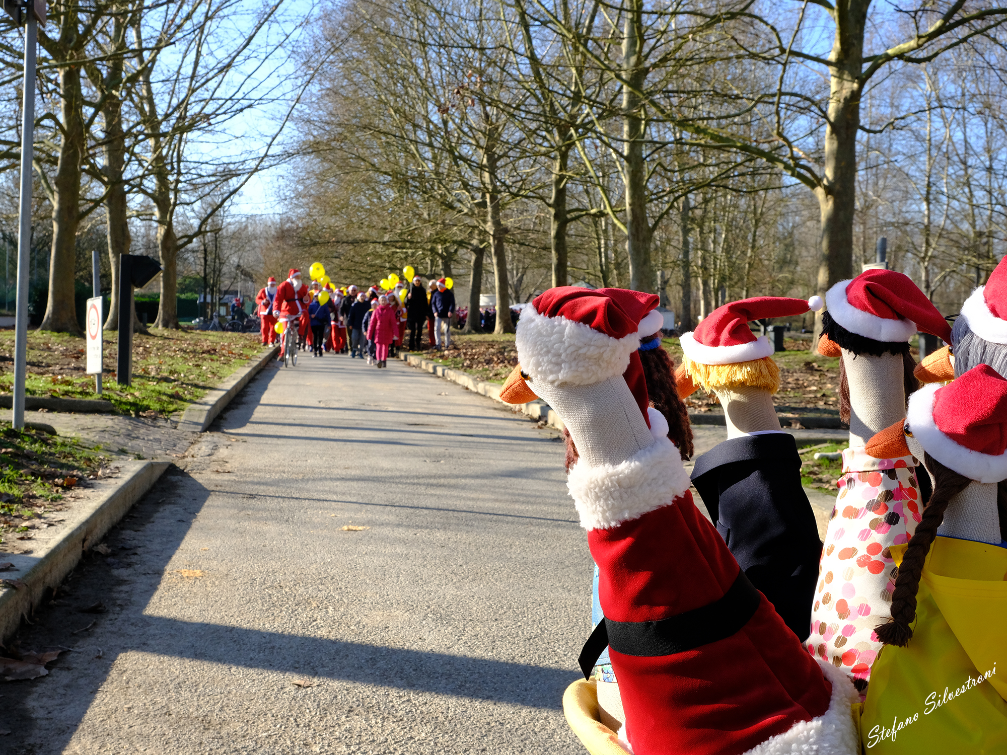 Quack! Arrivano! Tutti i Paperi pronti?