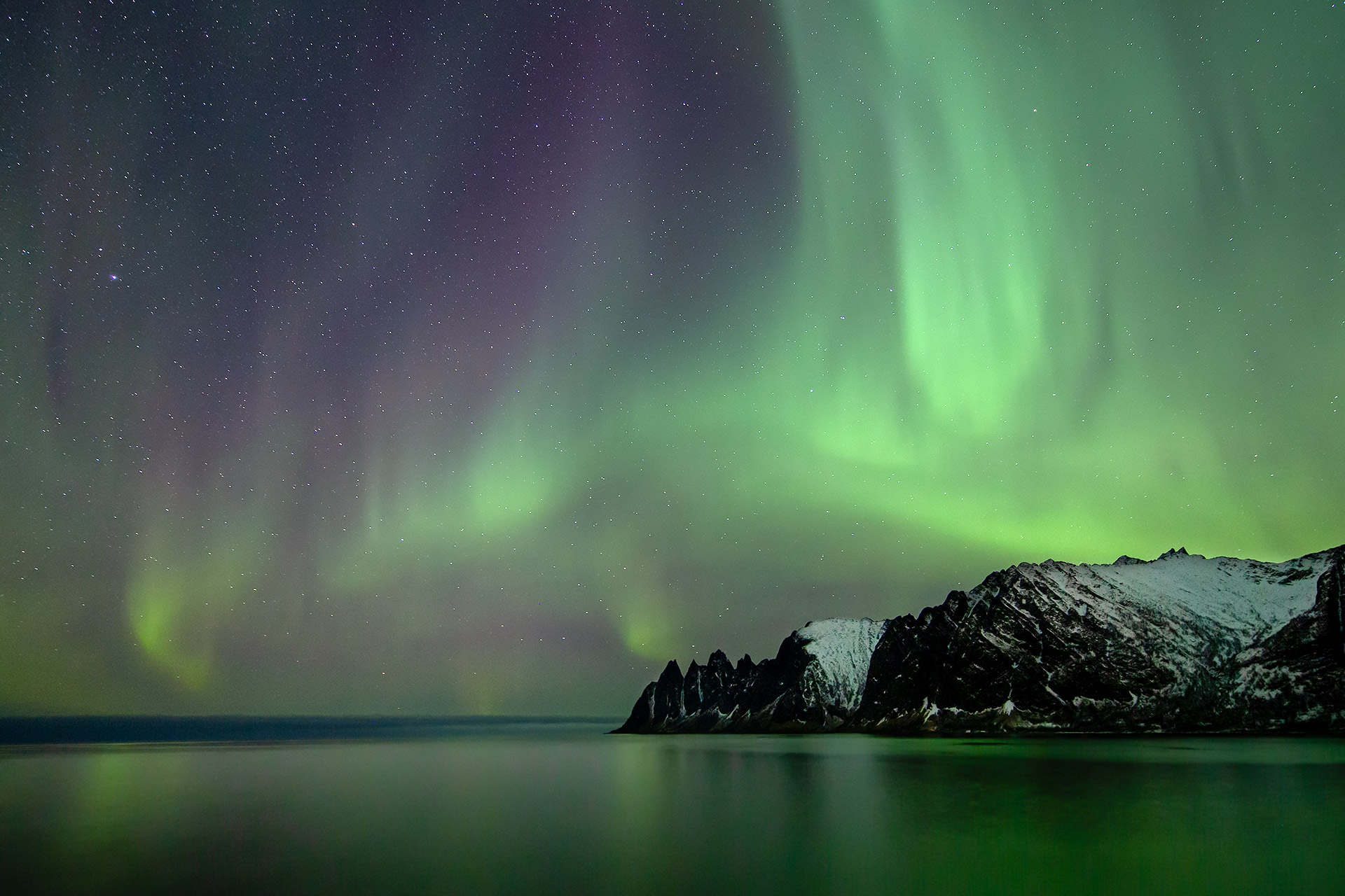Aurora a Senja