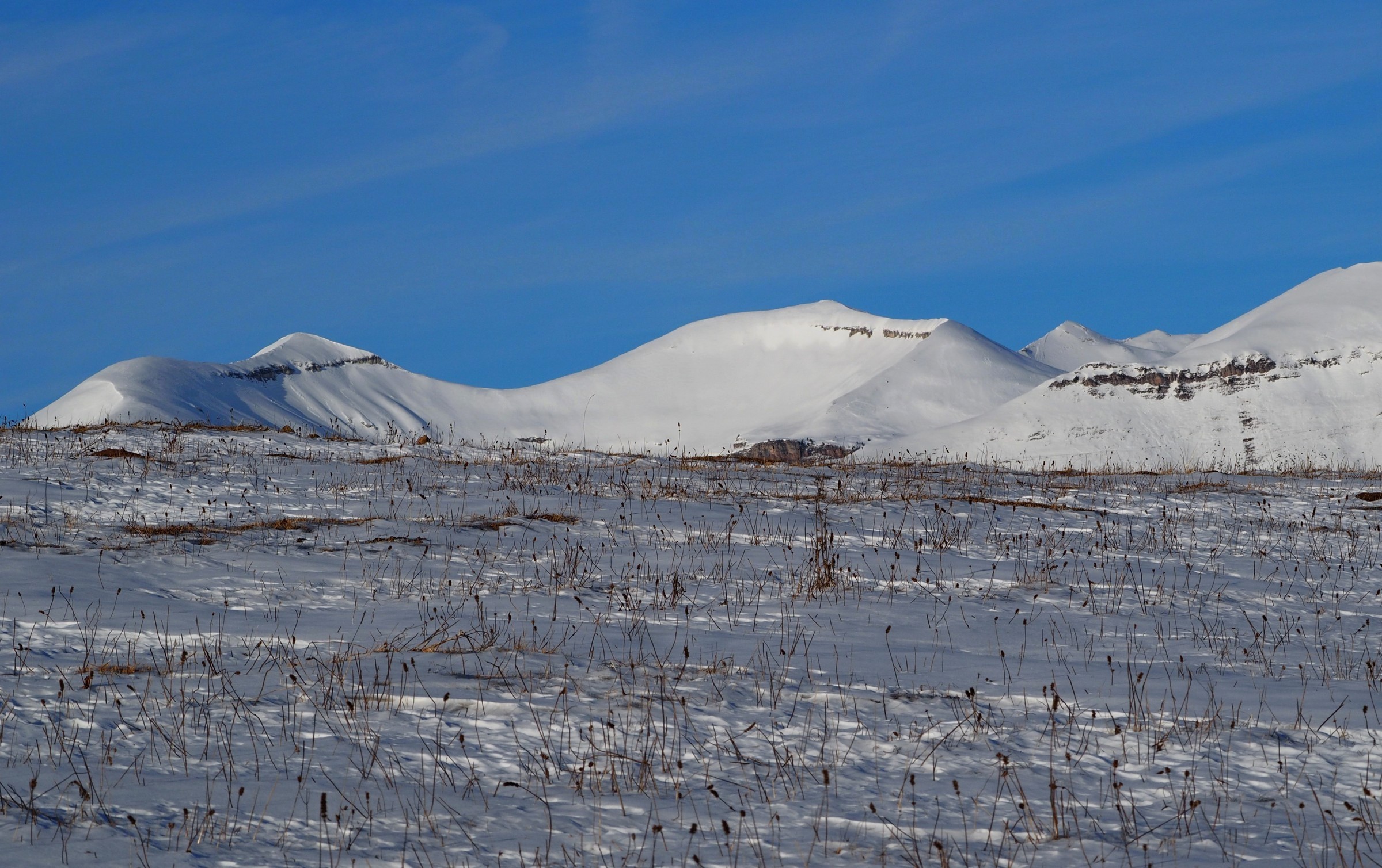 White dunes