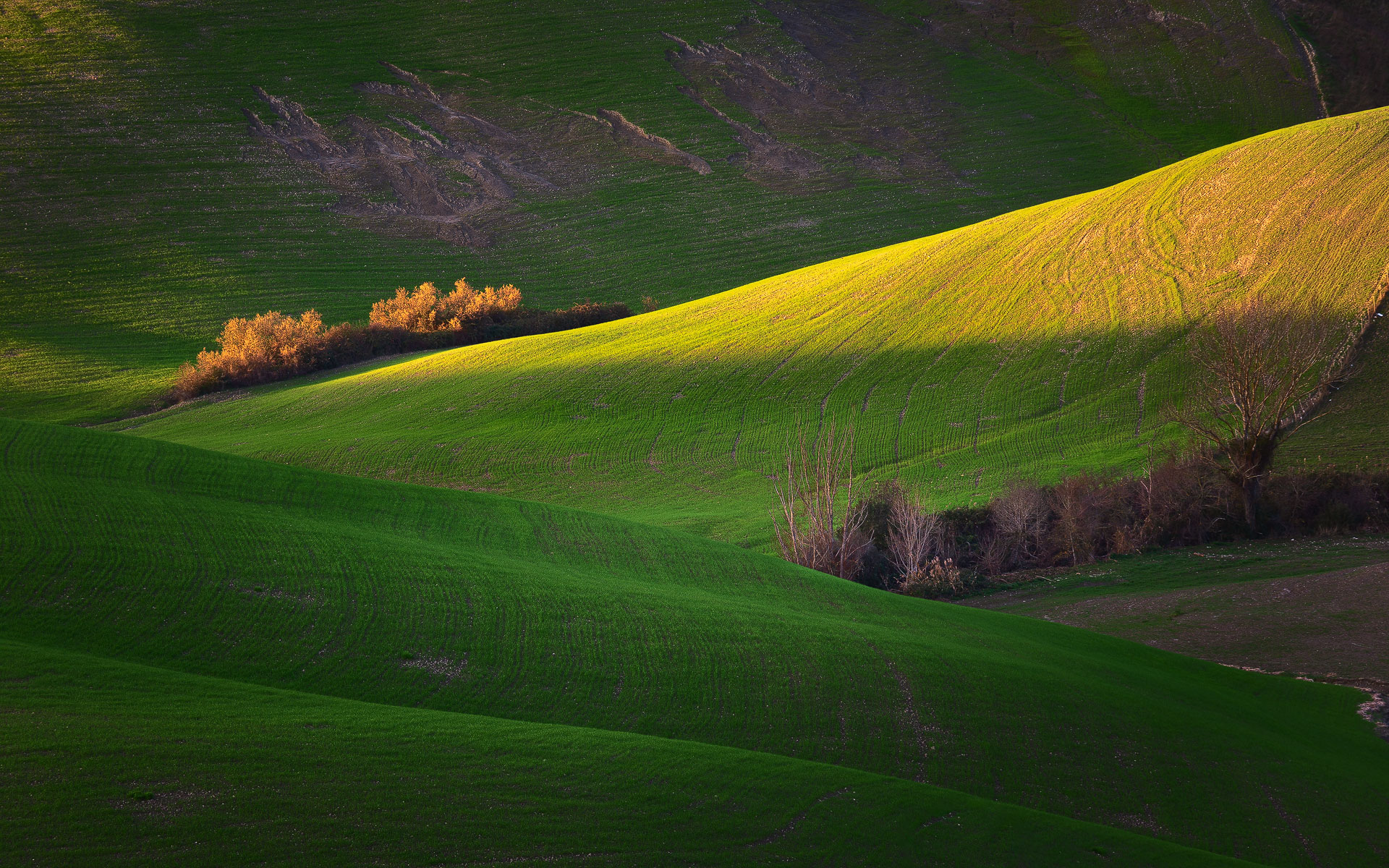 The day after Christmas shot