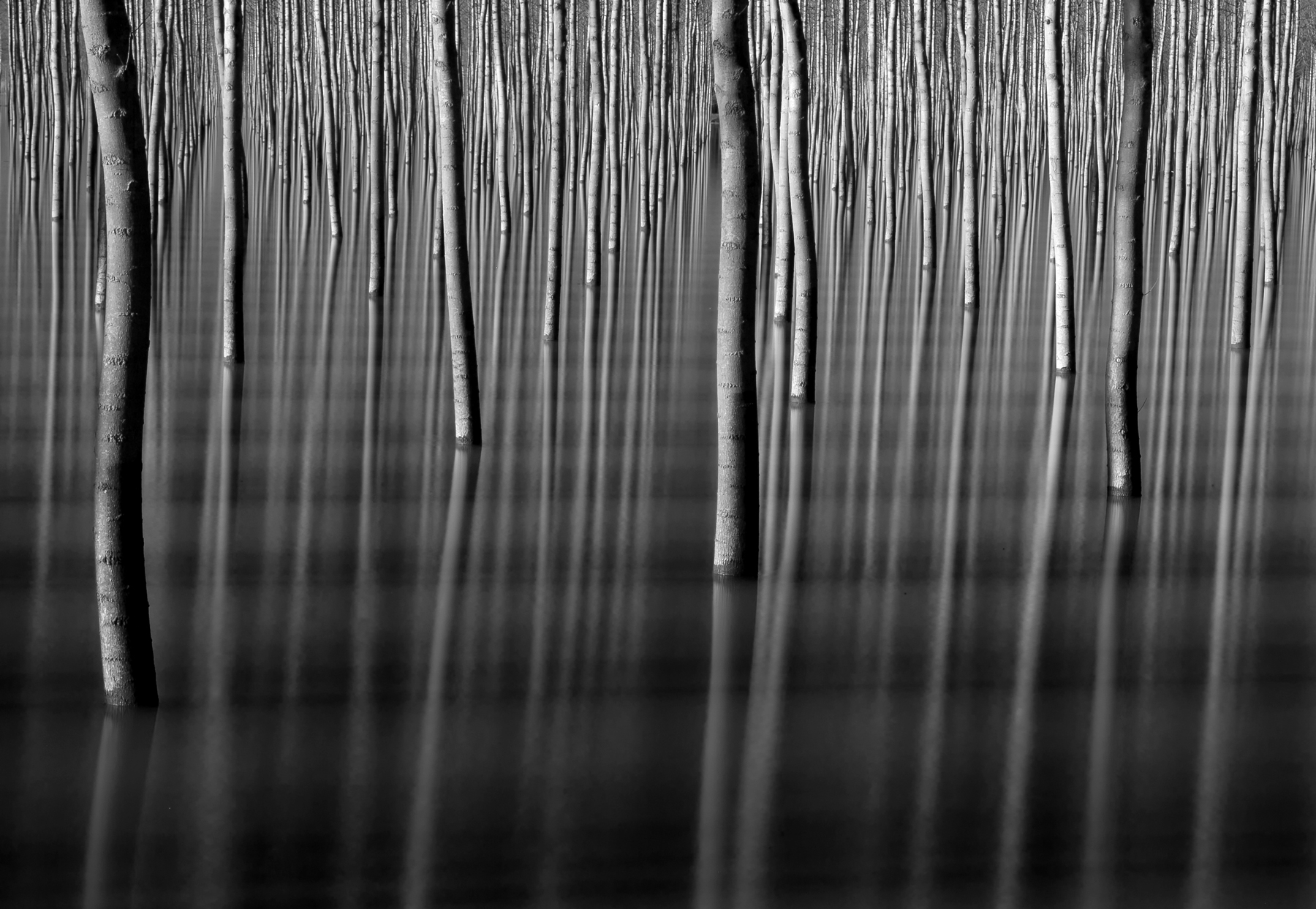 riflessi in golena....