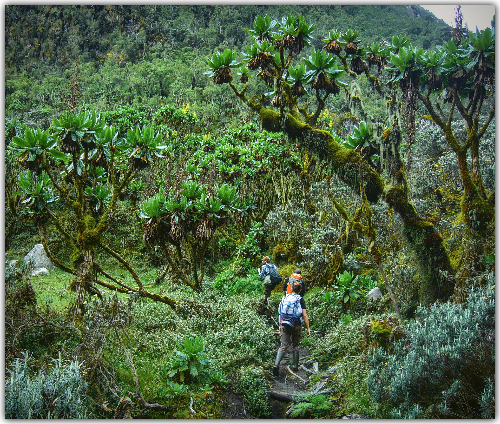 The Mountains of the Moon