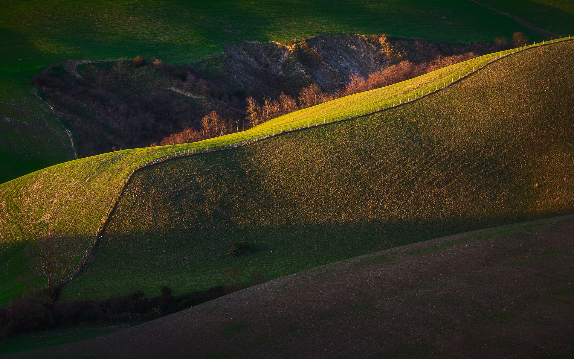 Last light on the hill