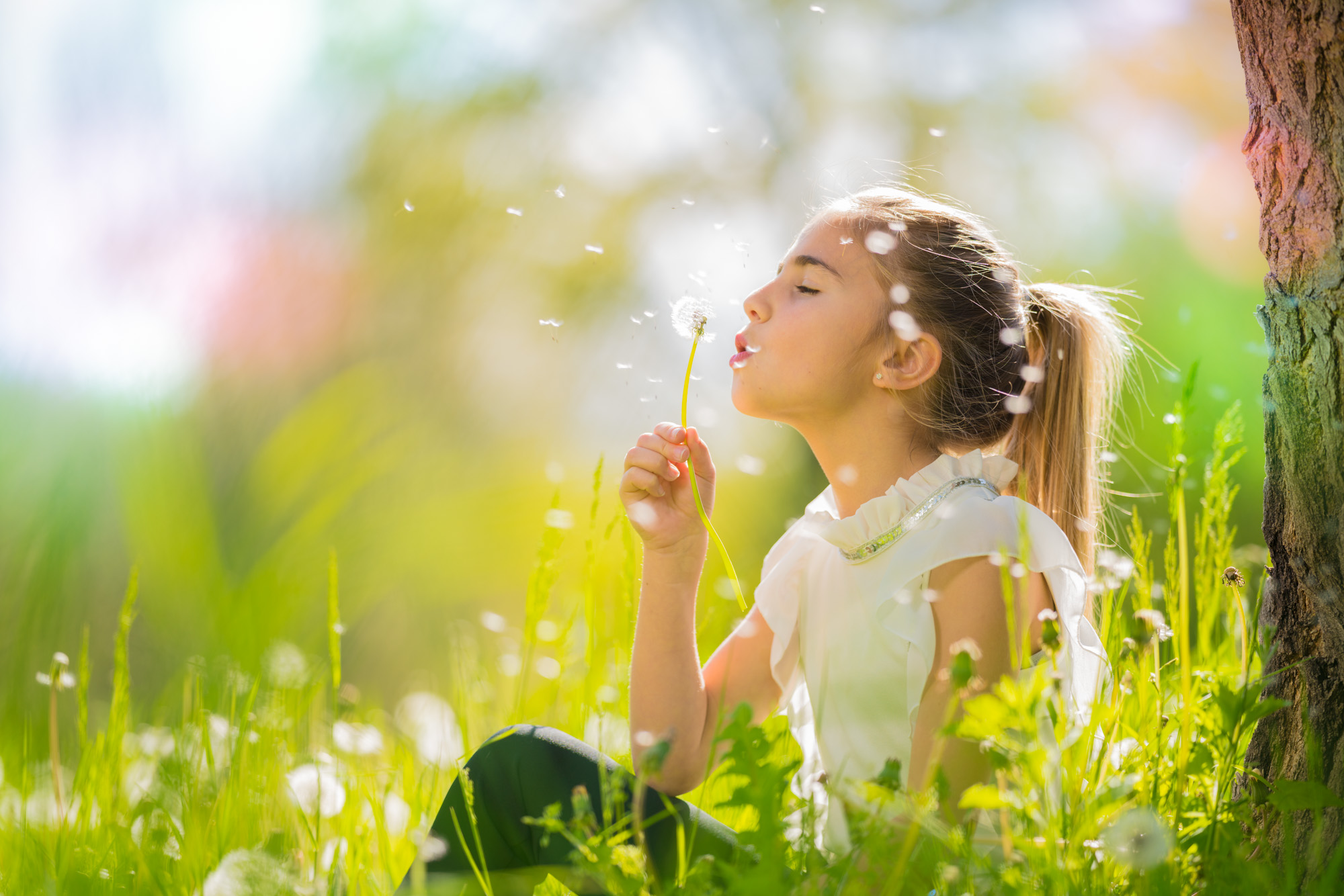 In a Breath of Spring