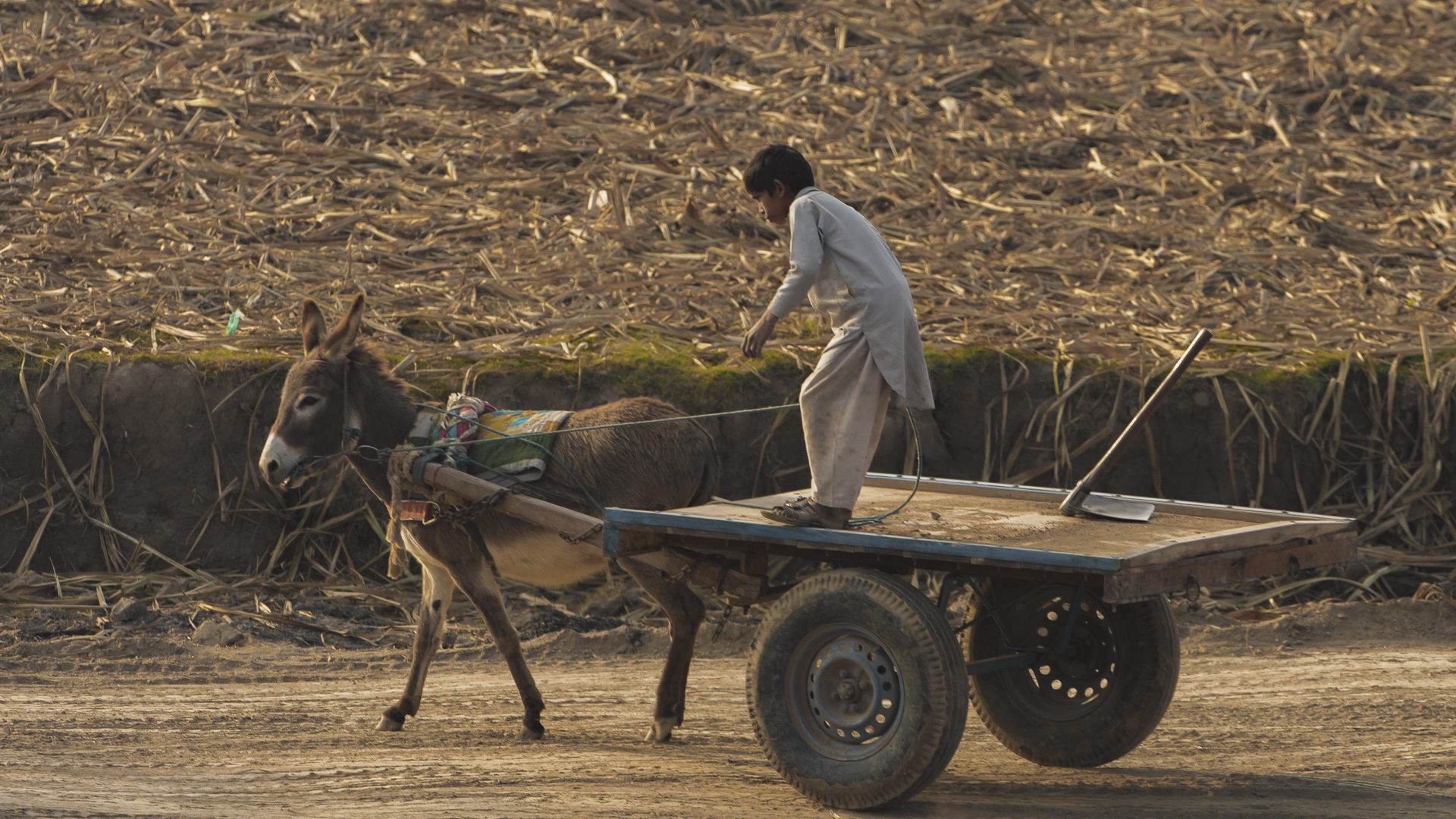 Rural Pakistan