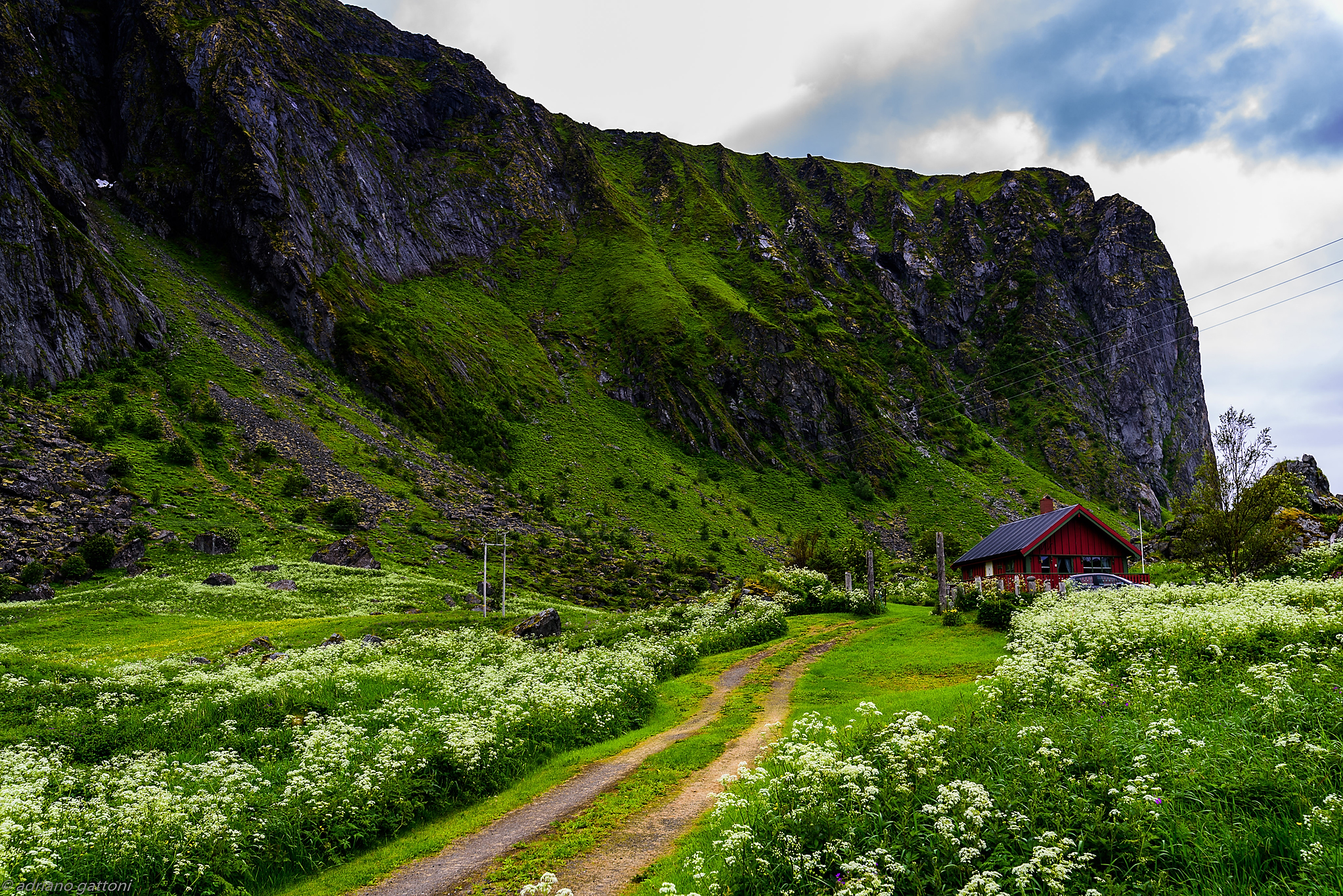 Lofoten Islands - house in the woods
