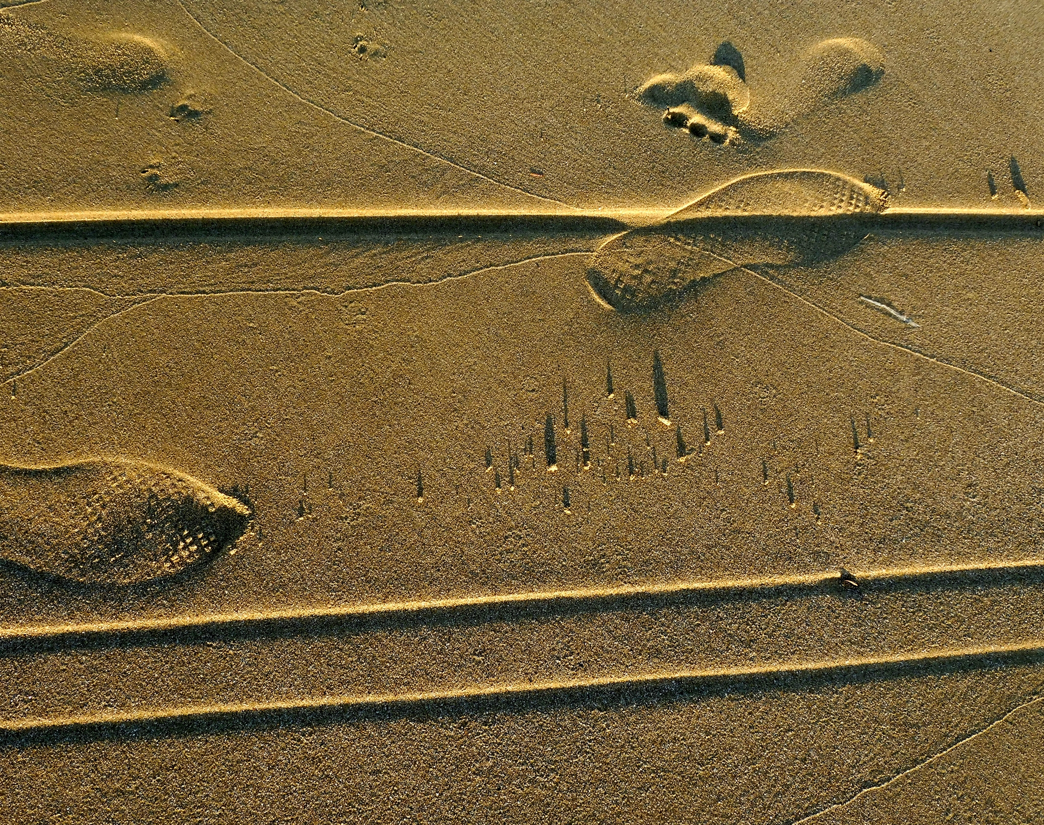 E l'Uomo inventò la ruota