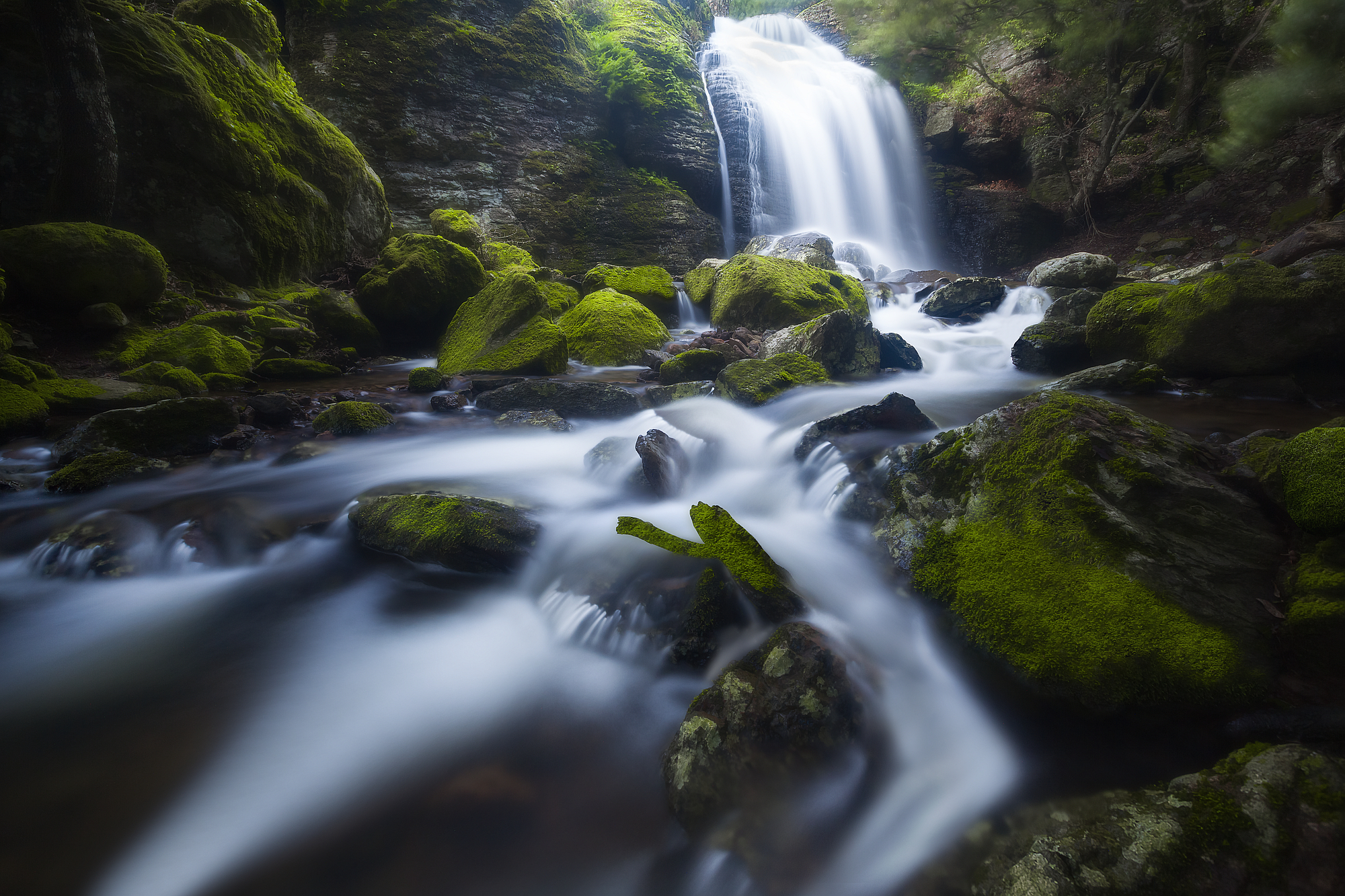 Rio Salonis - Monte Arci