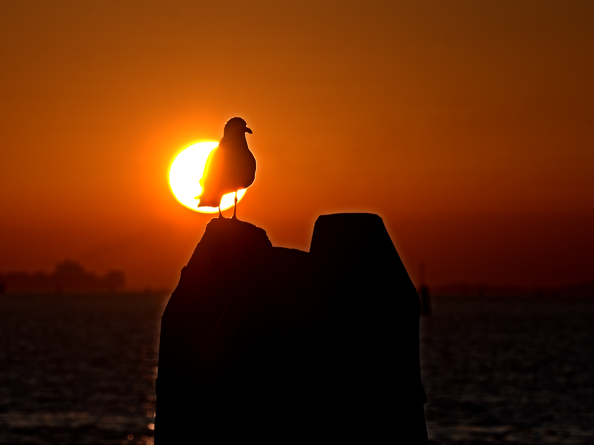 waiting for the sunset