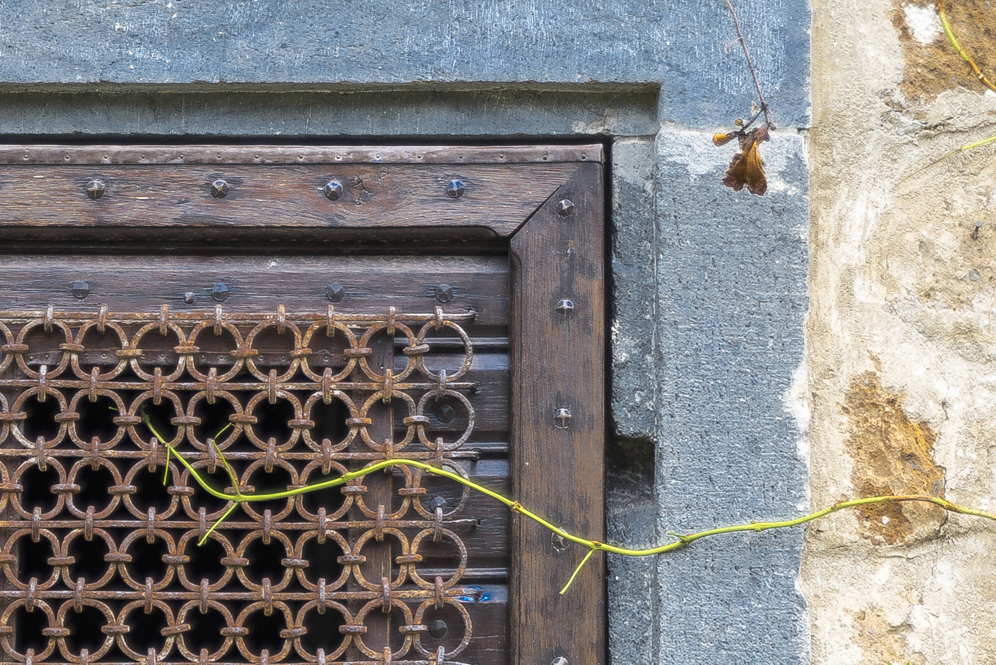 Civita di Bagnoregio, particolare porta
