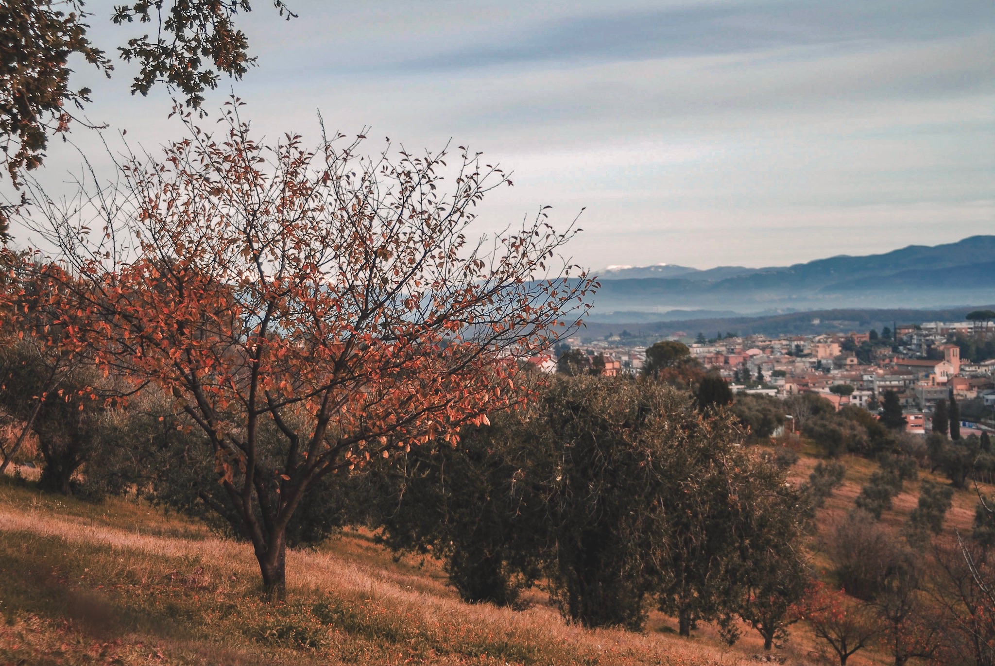 Autumn mentana from above