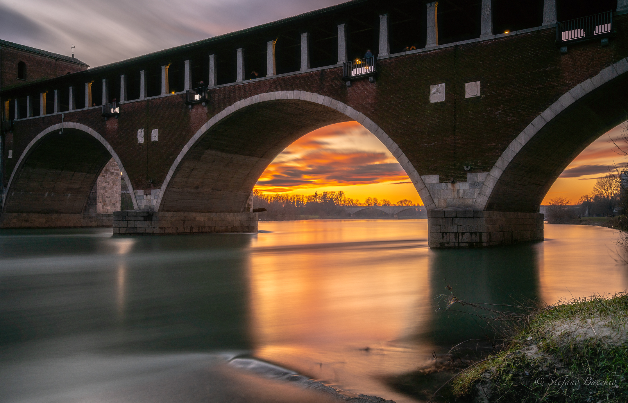 Pavia