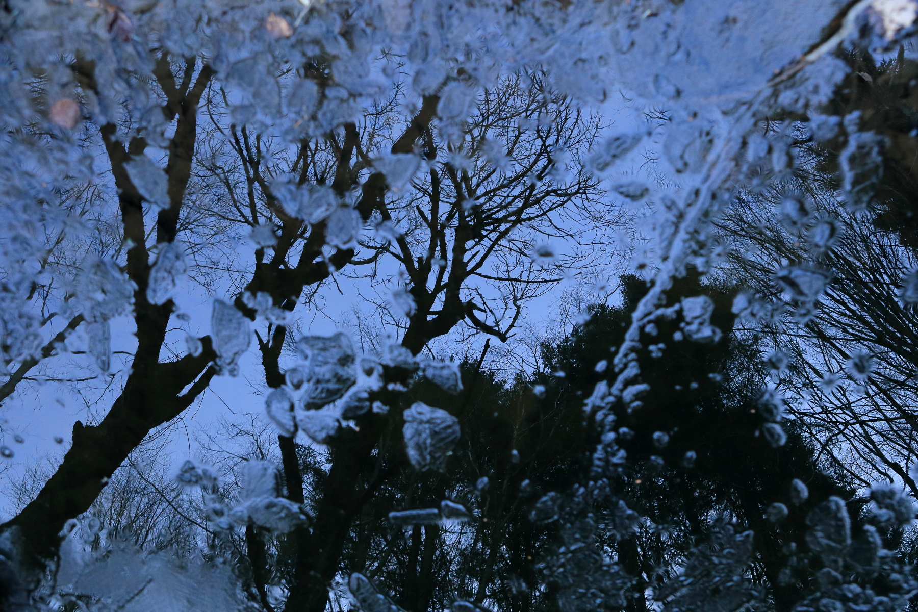 Riflessi nel ghiaccio