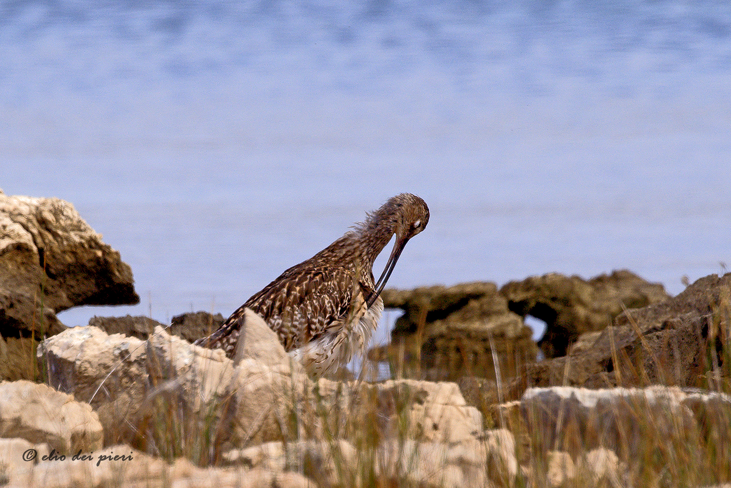 Na scratchcards!! Chiurlo