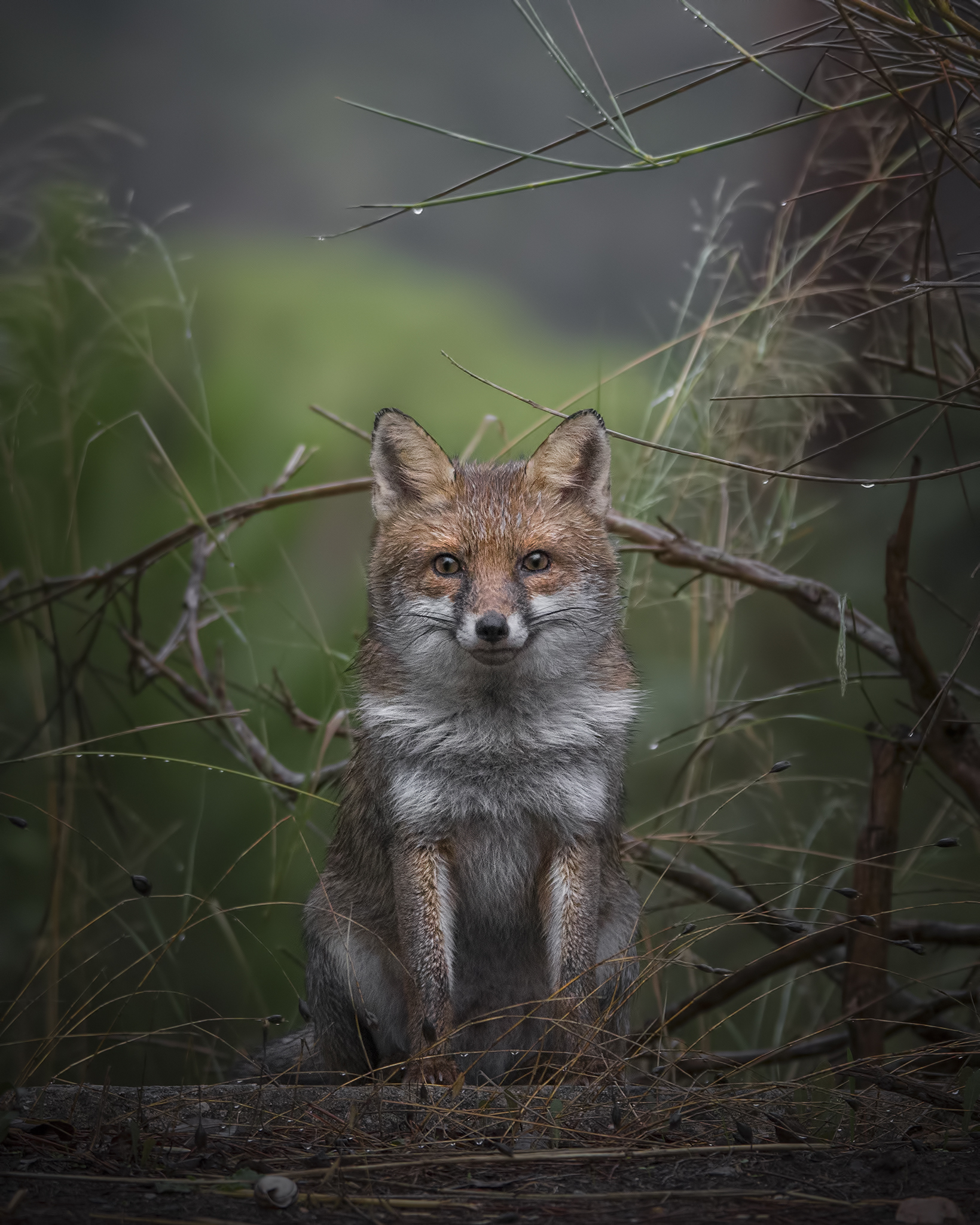 Observing and letting yourself be observed