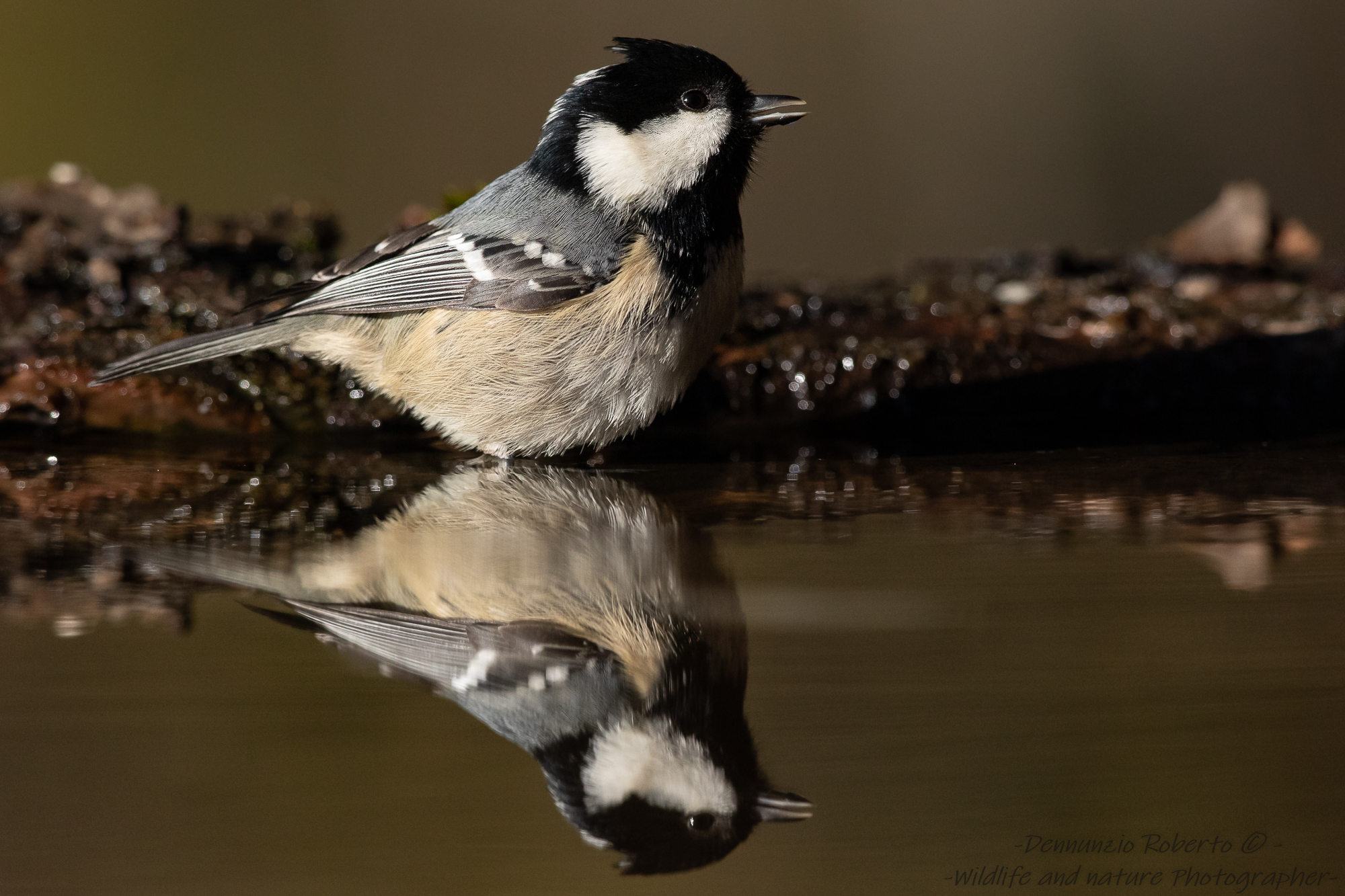 Reginetta del "bagno"