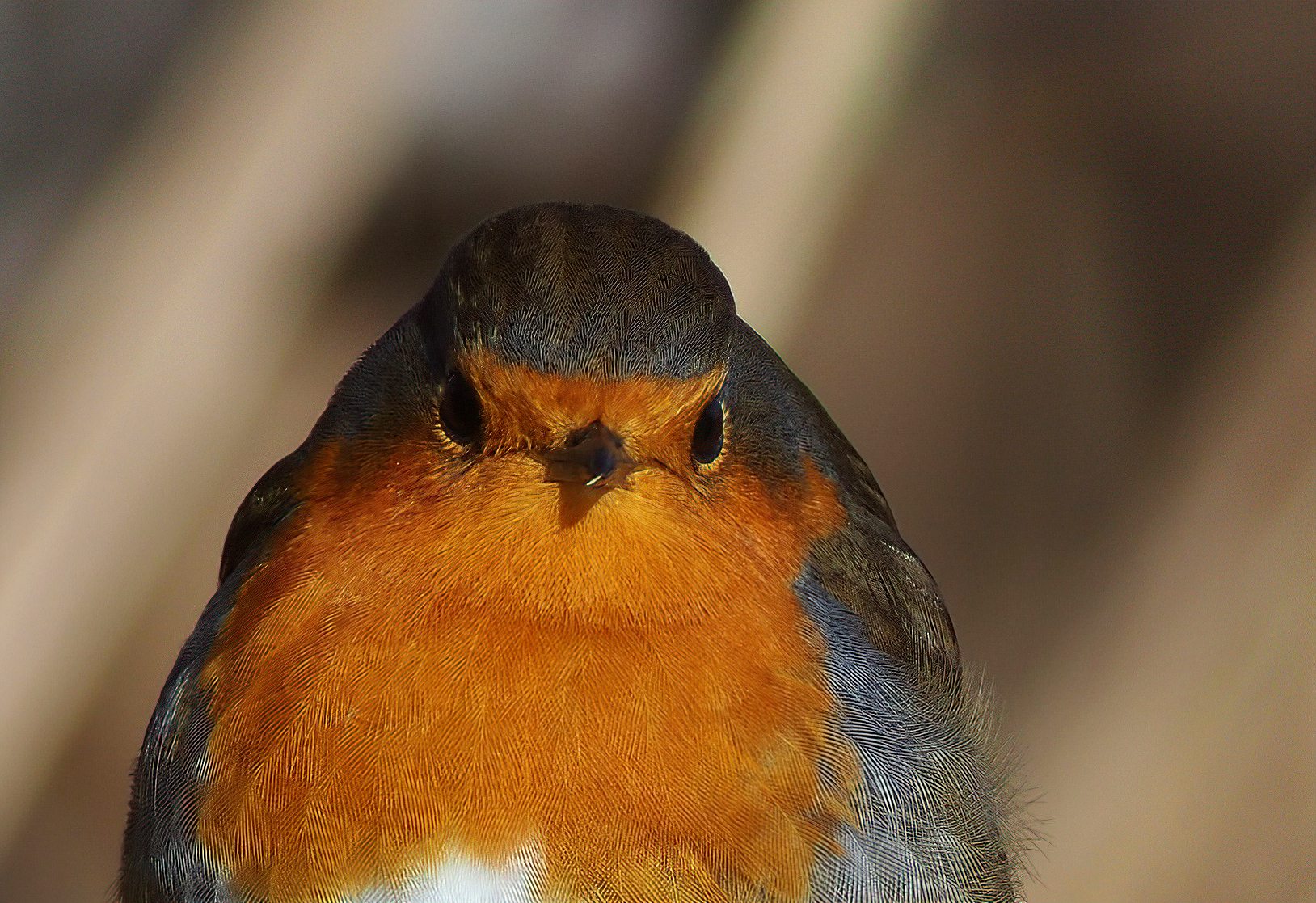 Can you take a picture of me?