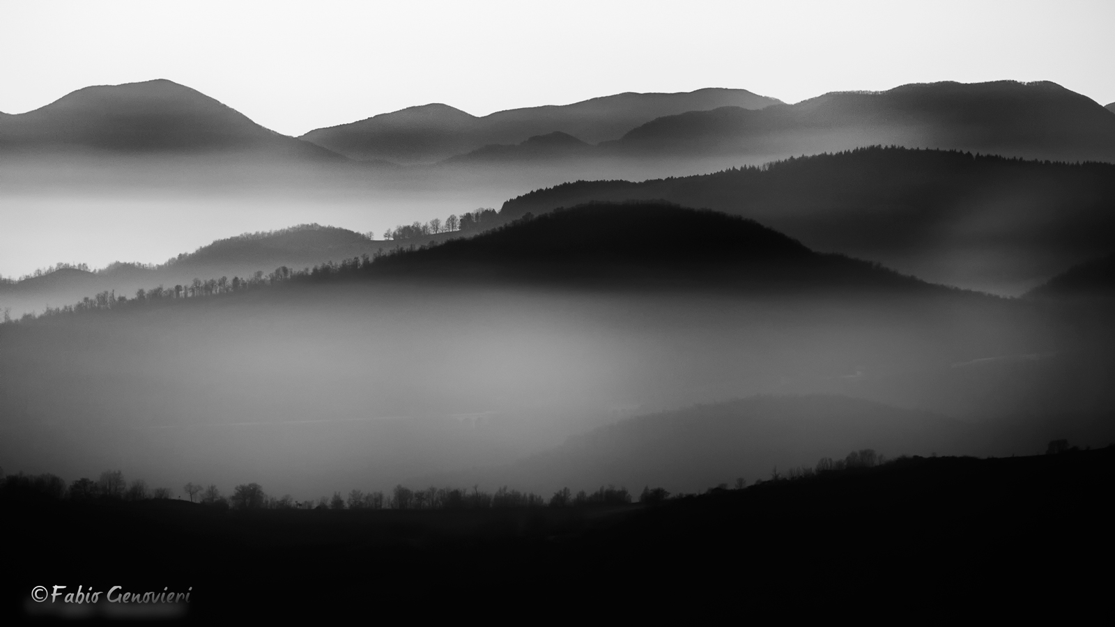 Fog