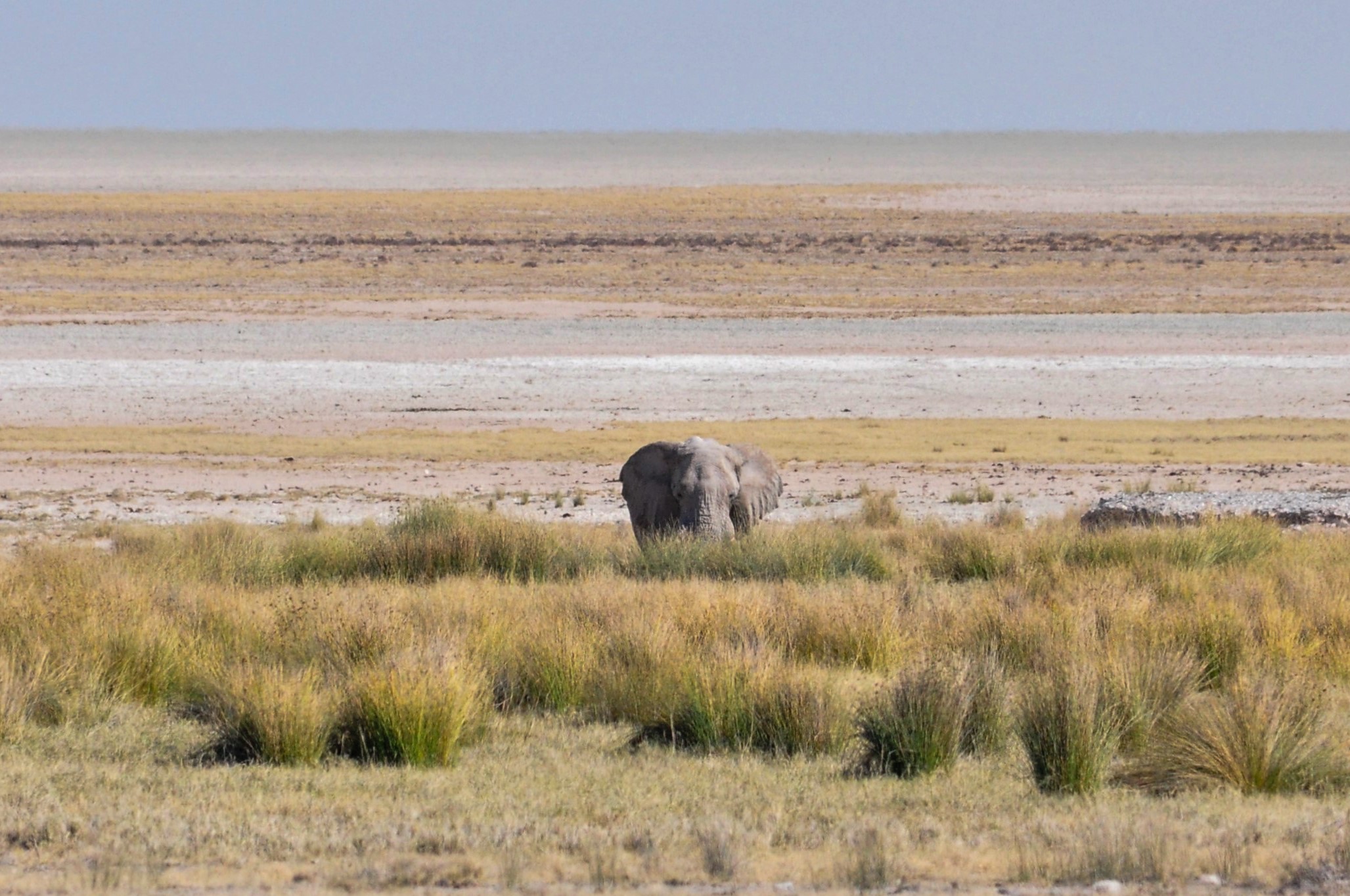 il gigante solitario