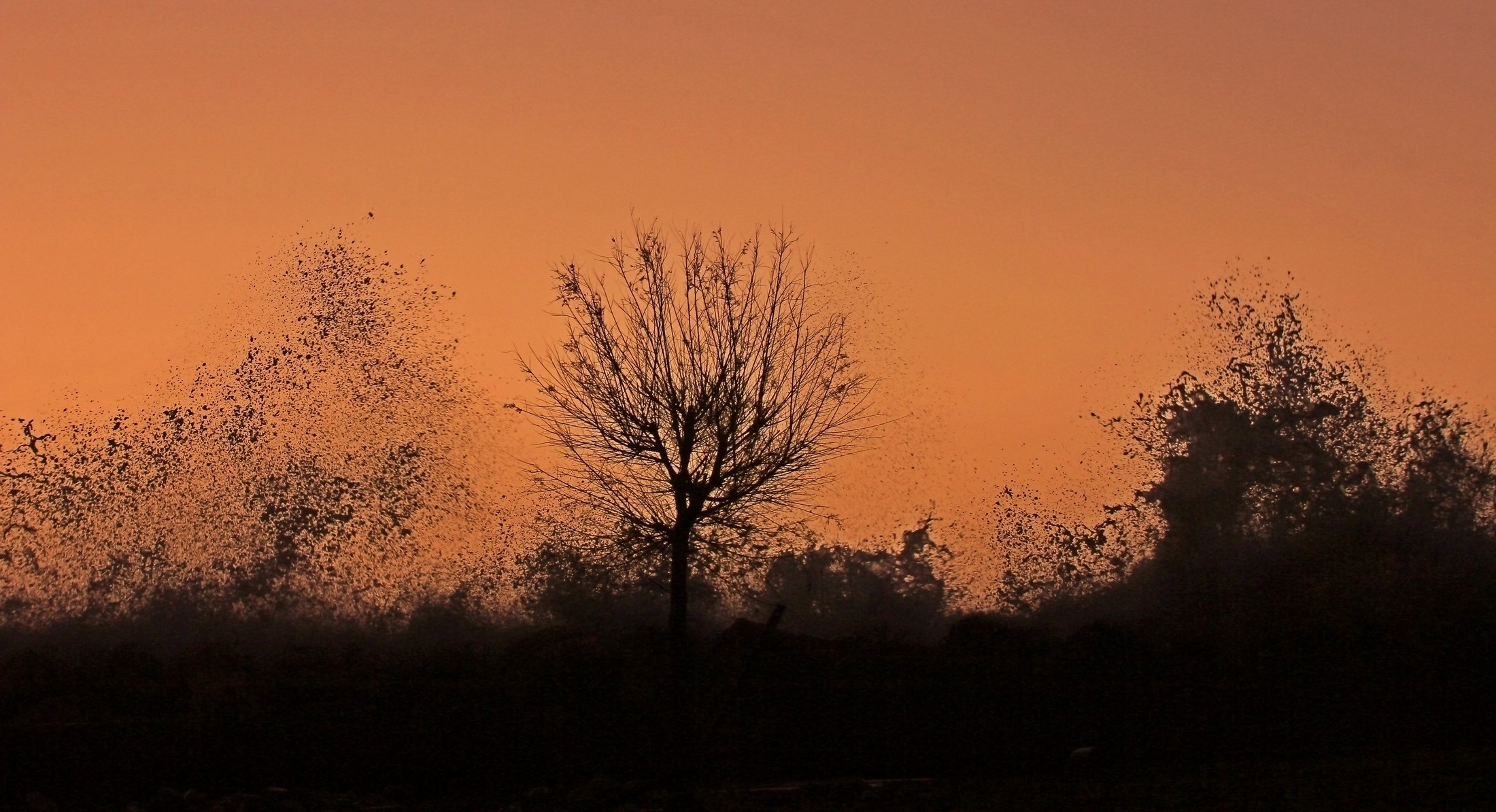 Una battaglia impari..
