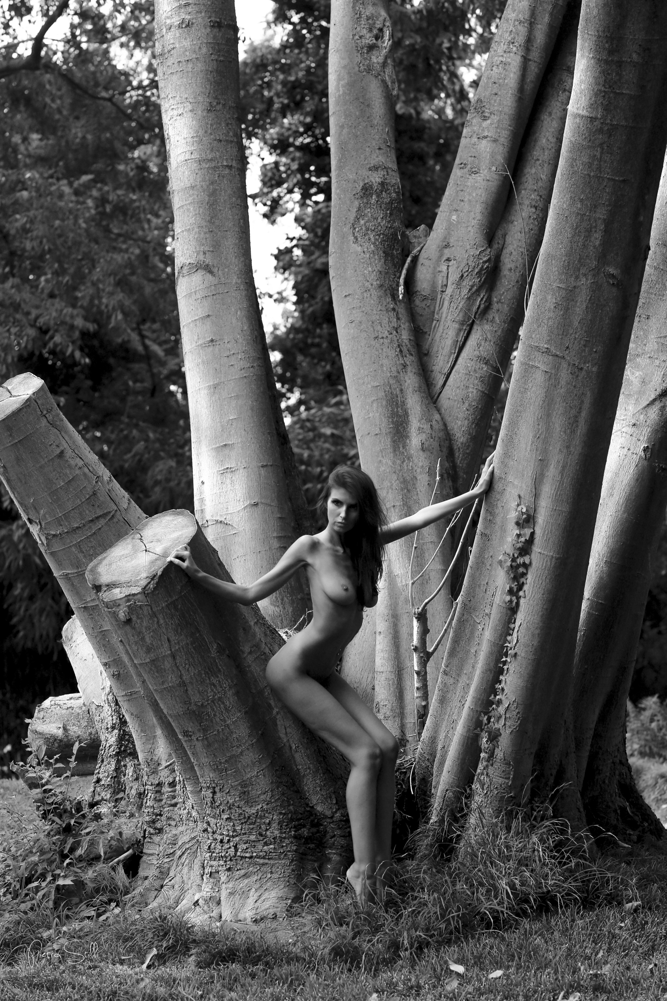 Laura Giraudi - RFP Workshop