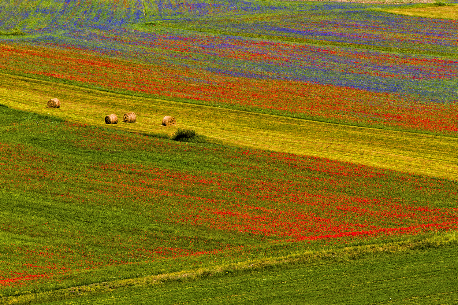 Castelluccio