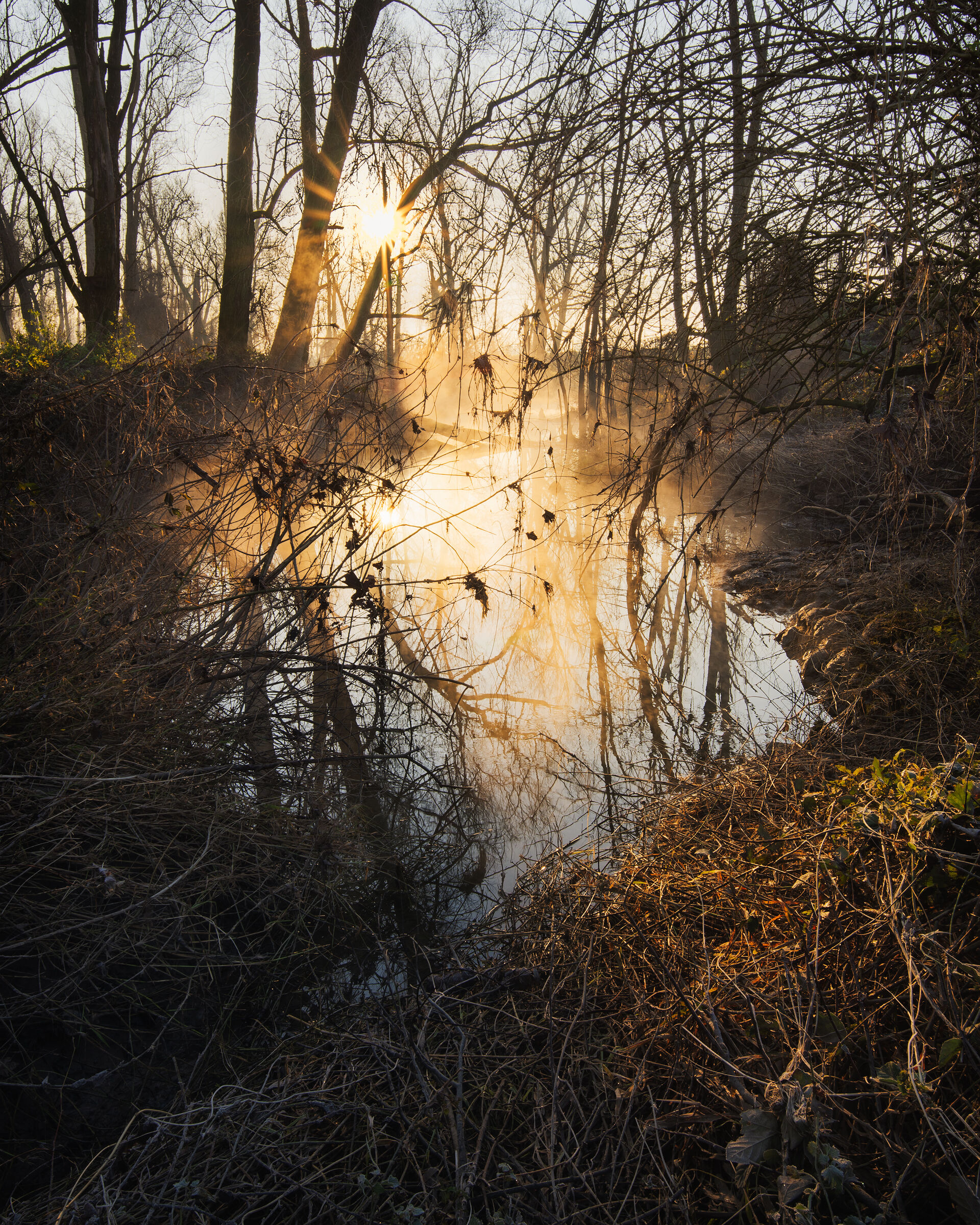 Lanche del fiume Oglio