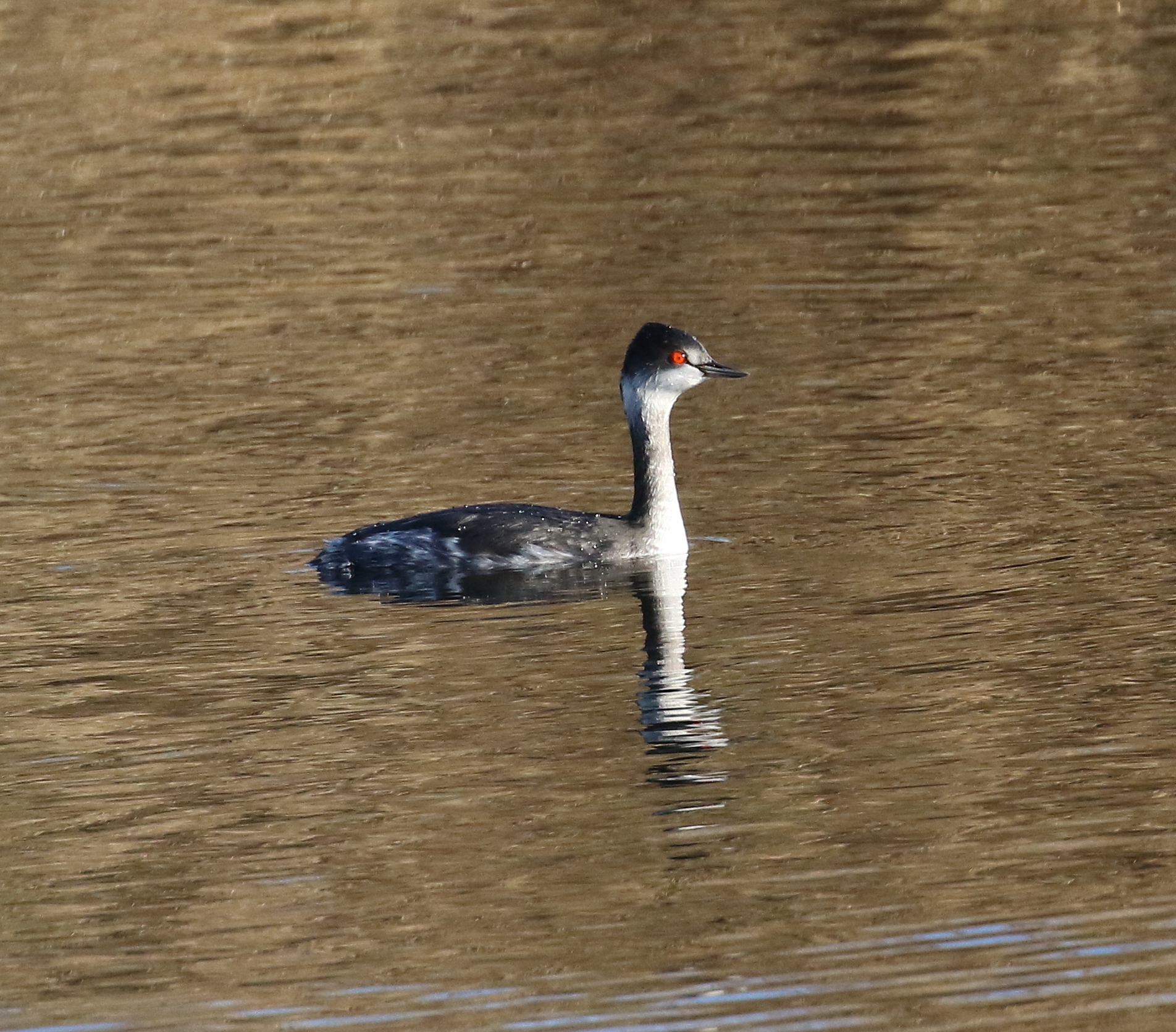 Small vaping, winter dress