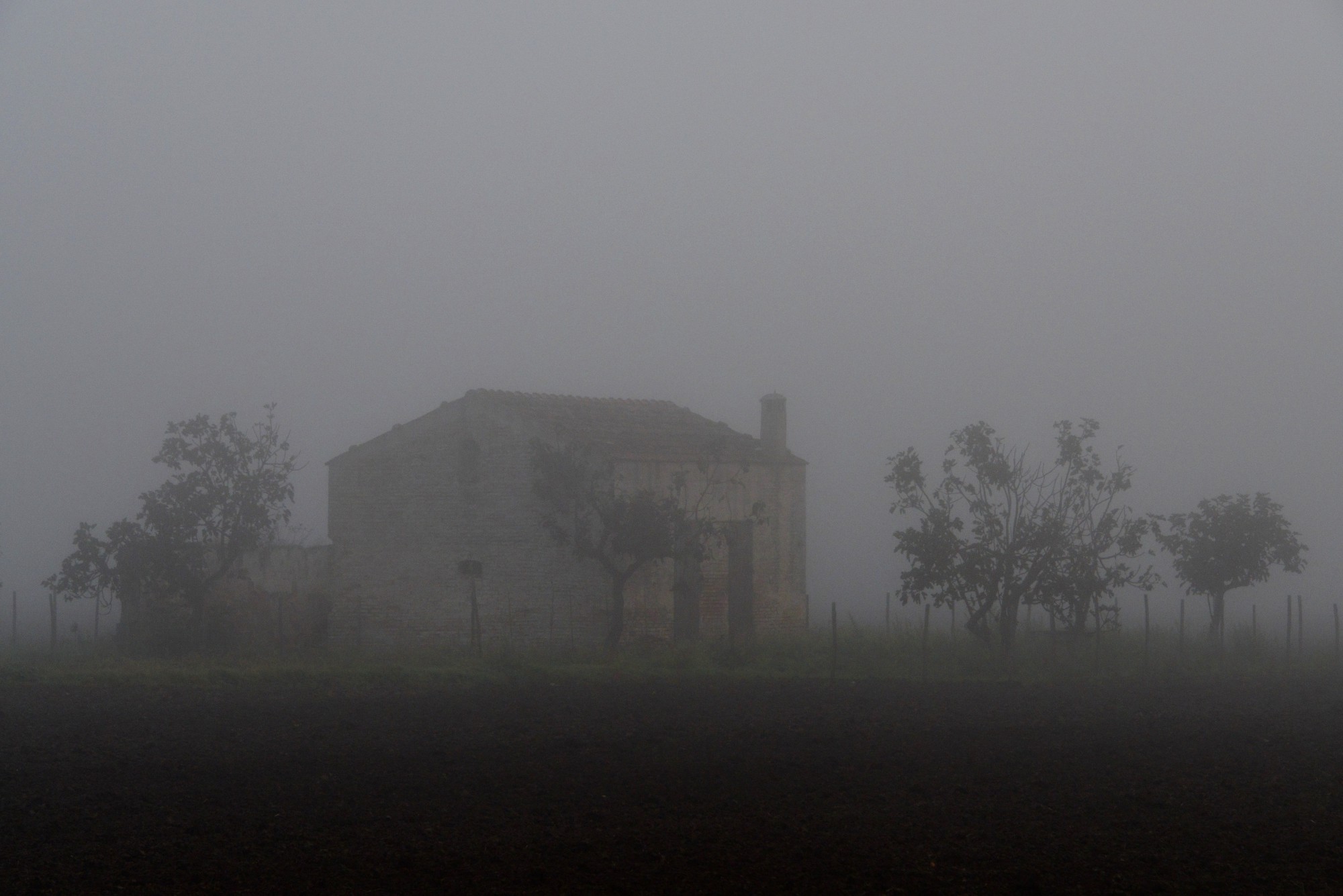 Nebbia