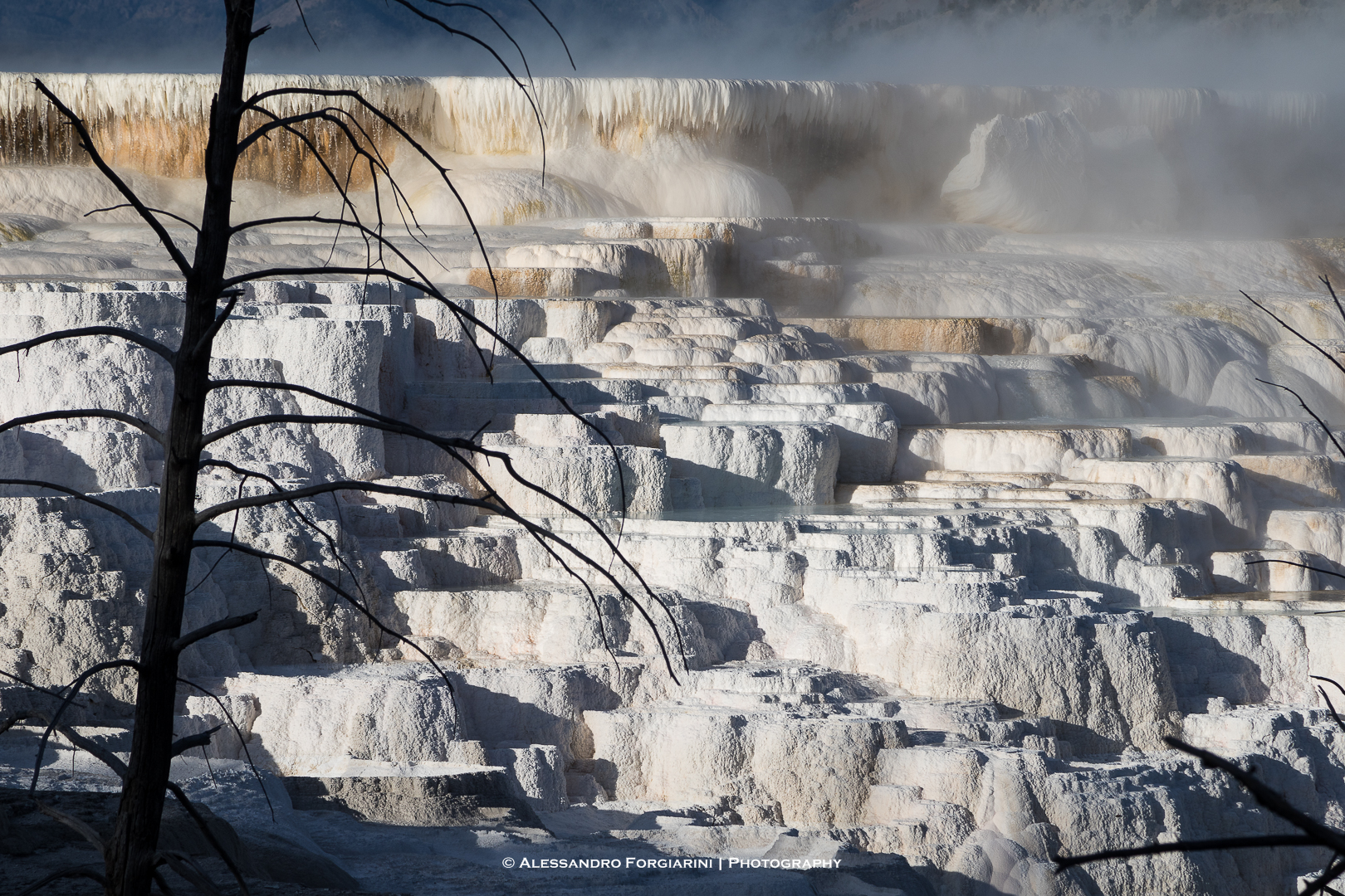 Mammoth Hot Springs