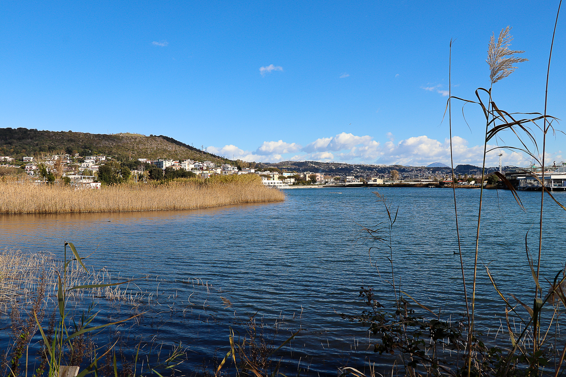lago lucrino pozzuoli napoli