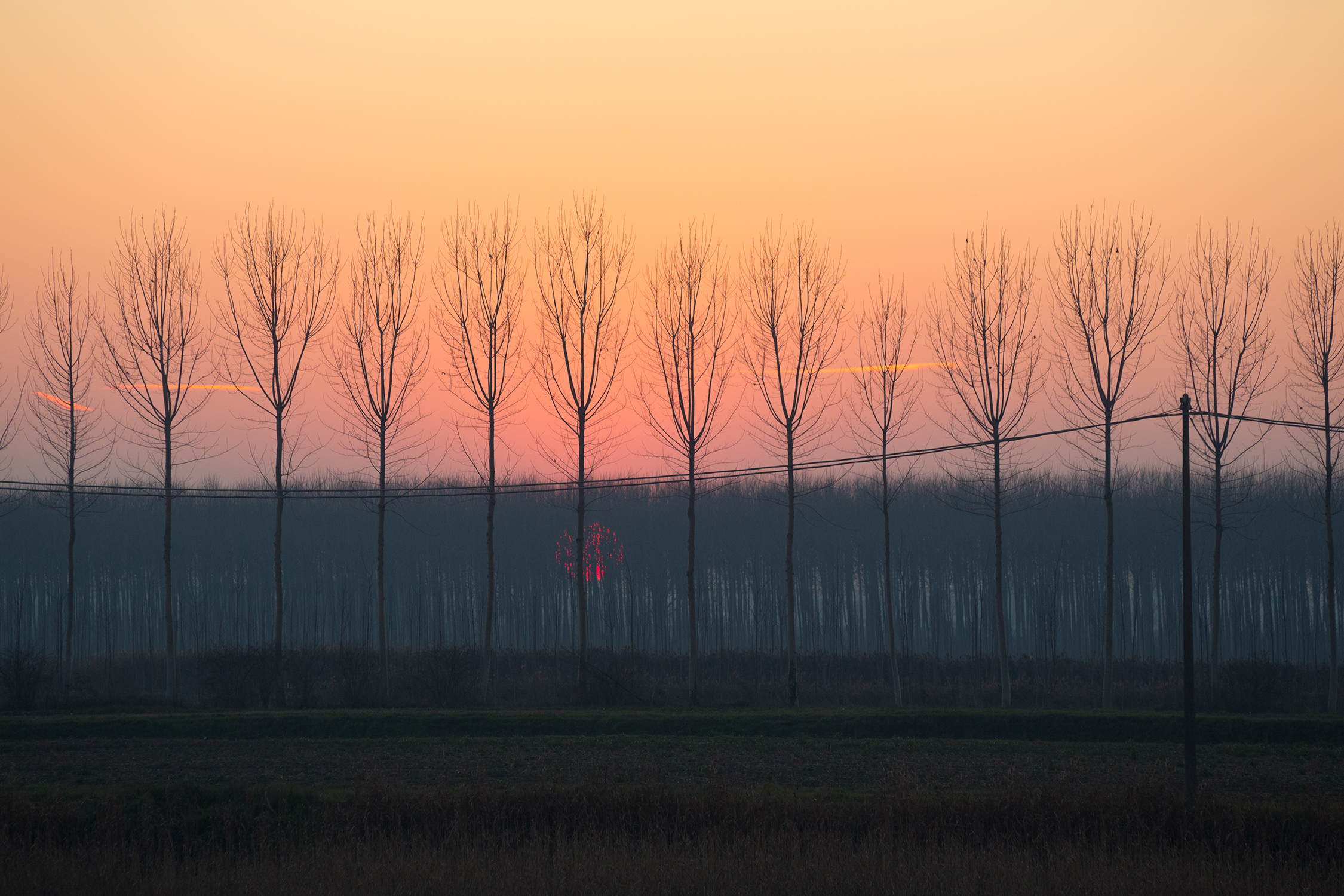 Ordìto invernale - Valli Grandi Veronesi