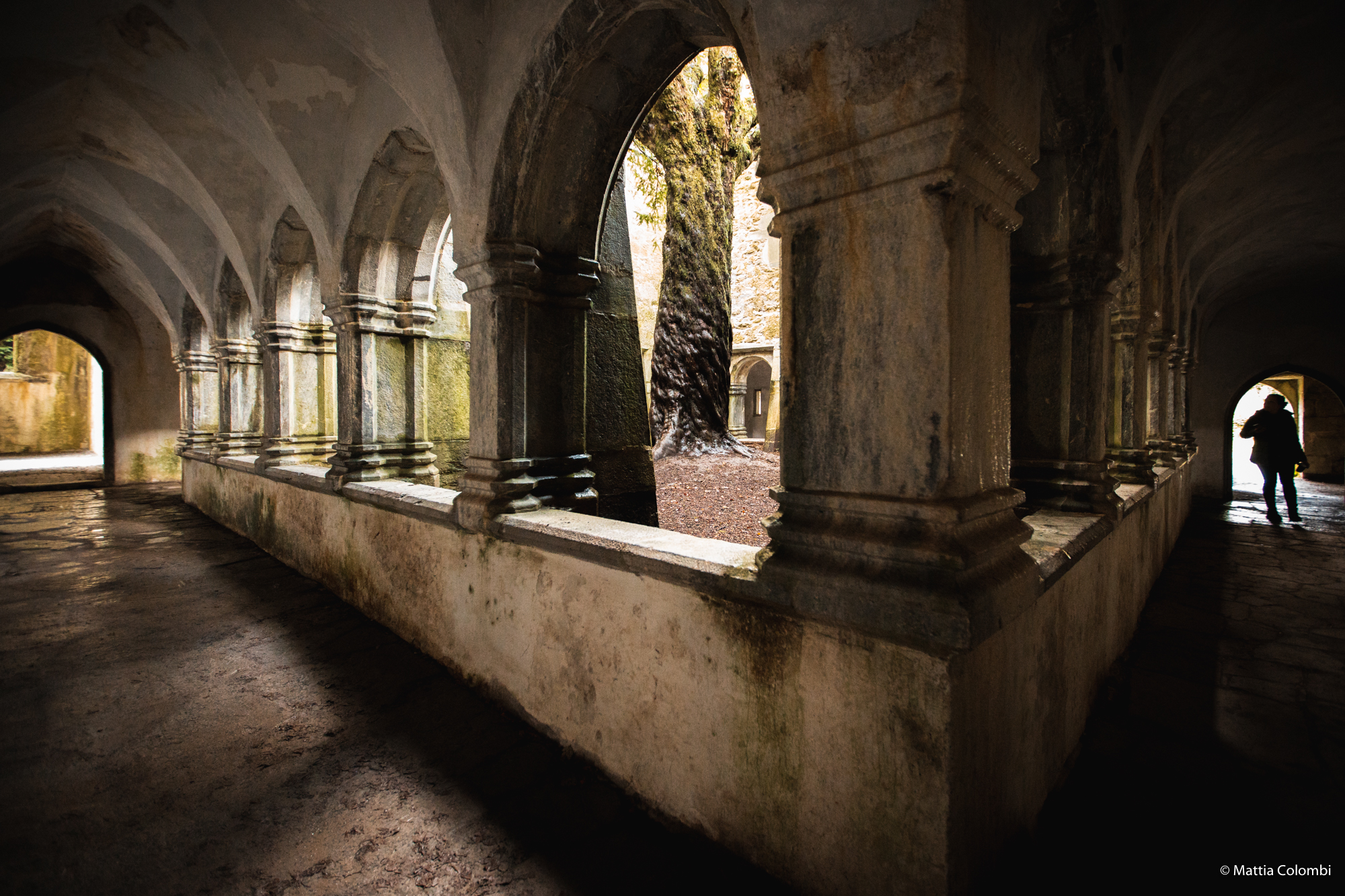 Muckross Abbey, Muckross