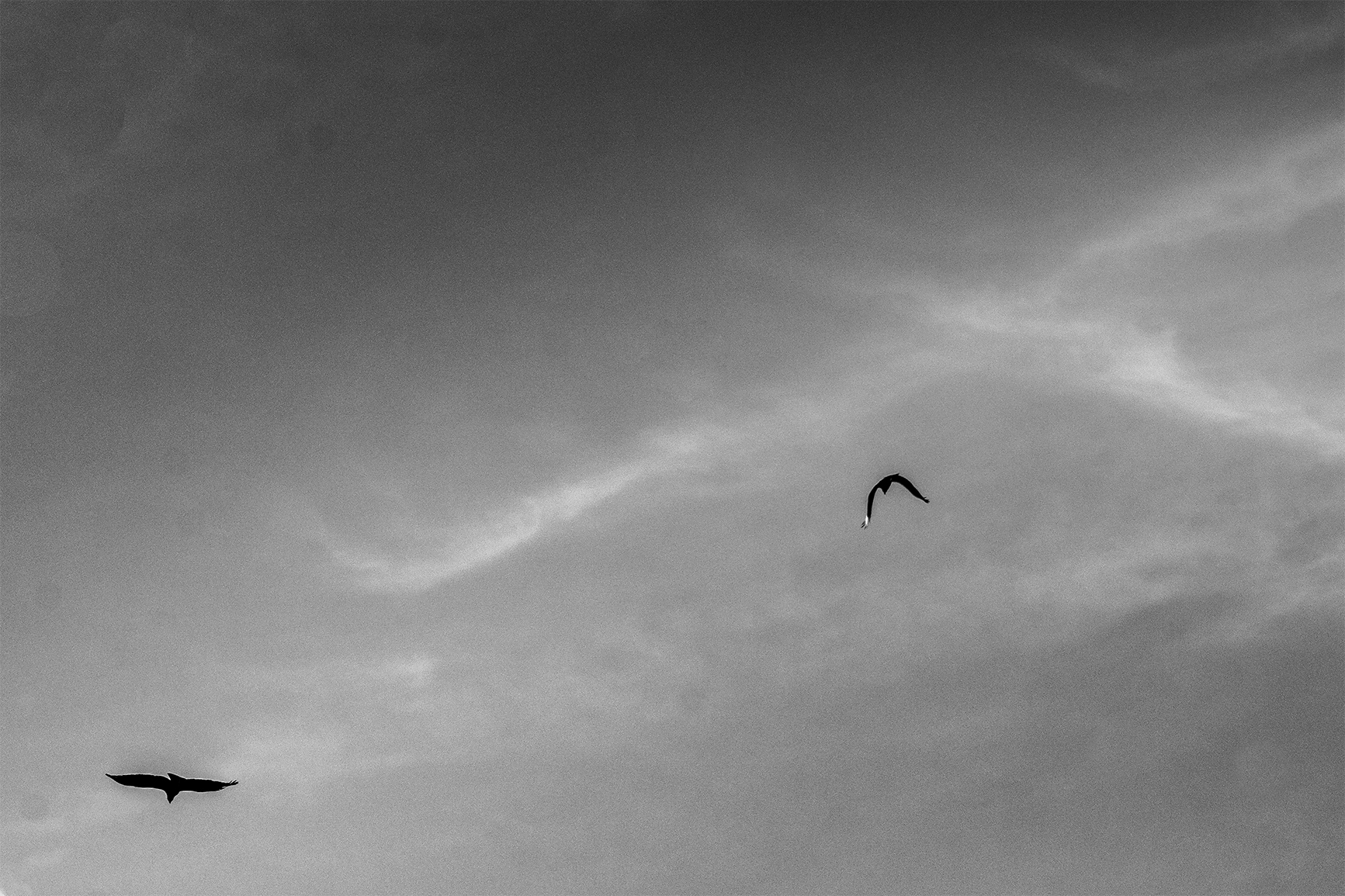 Flying with the clouds